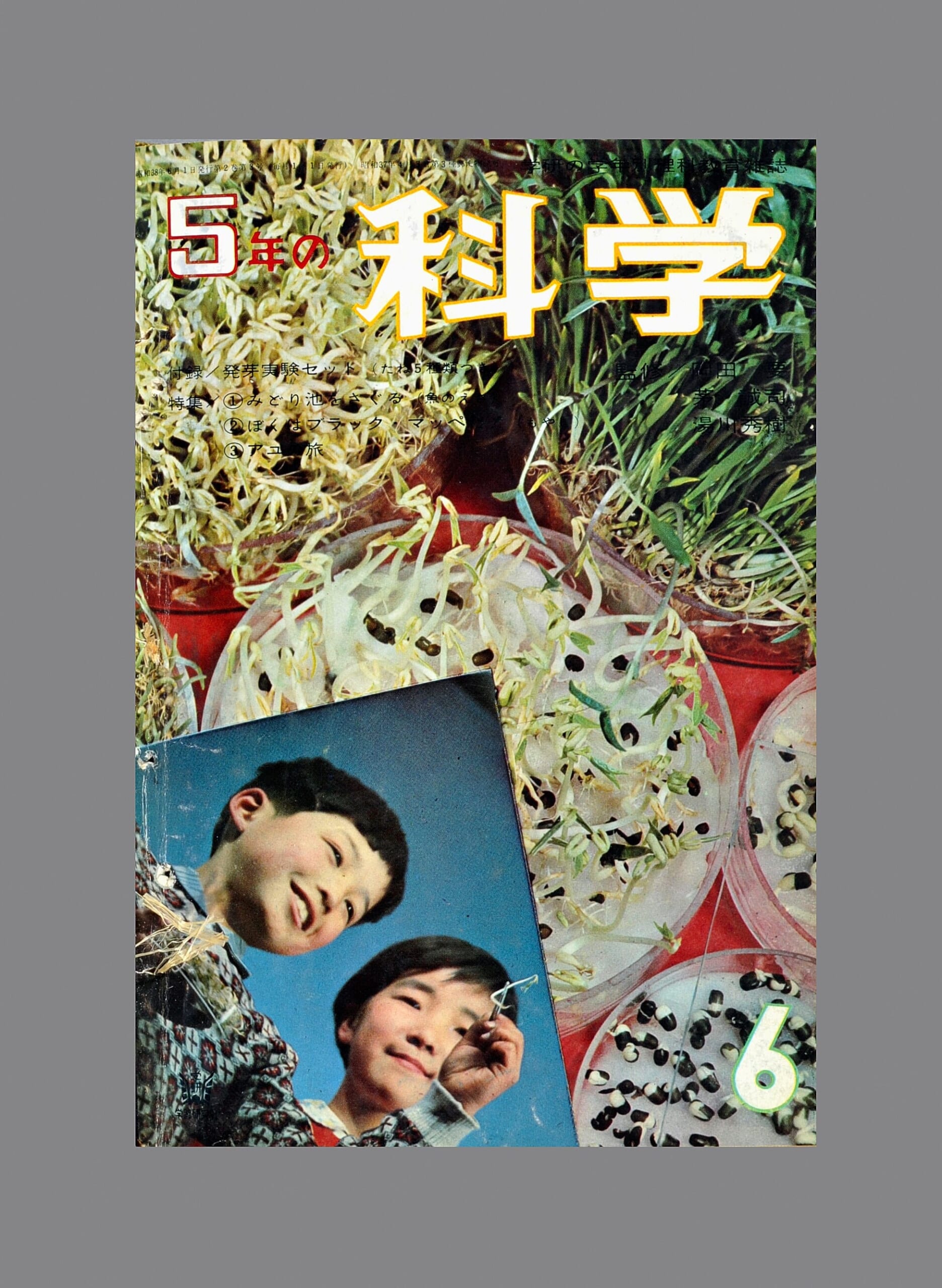 発芽実験セット（たね5種類つき）