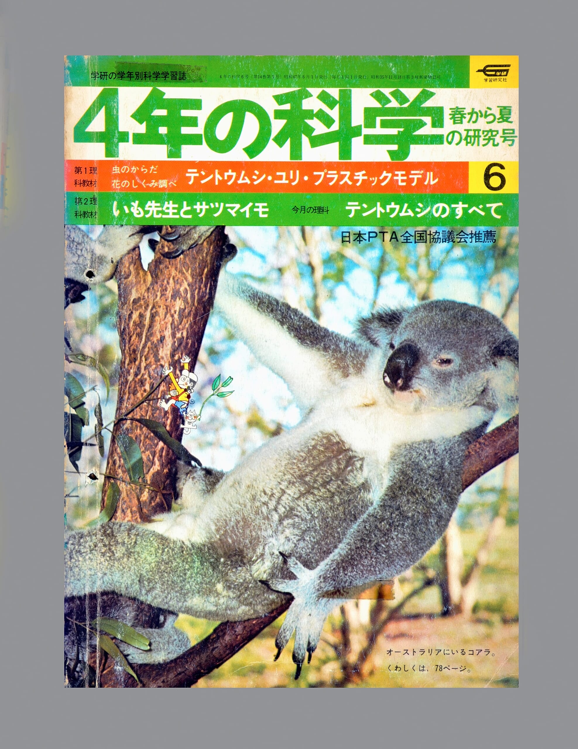 ふろく画像