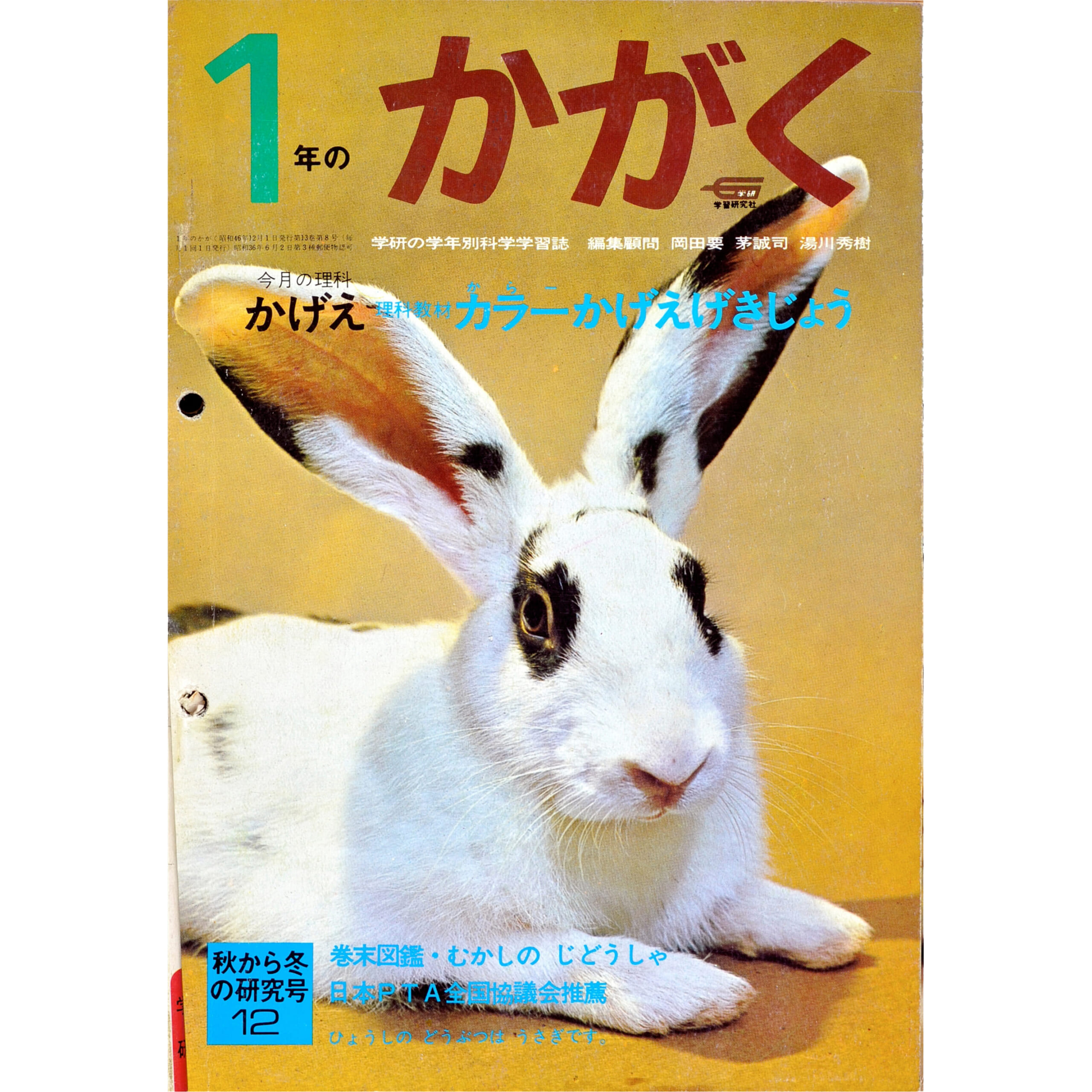 ふろく画像