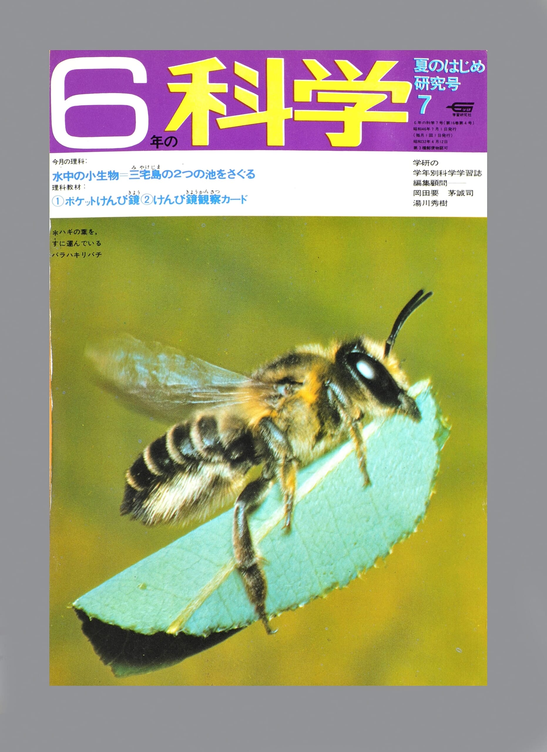 ふろく画像