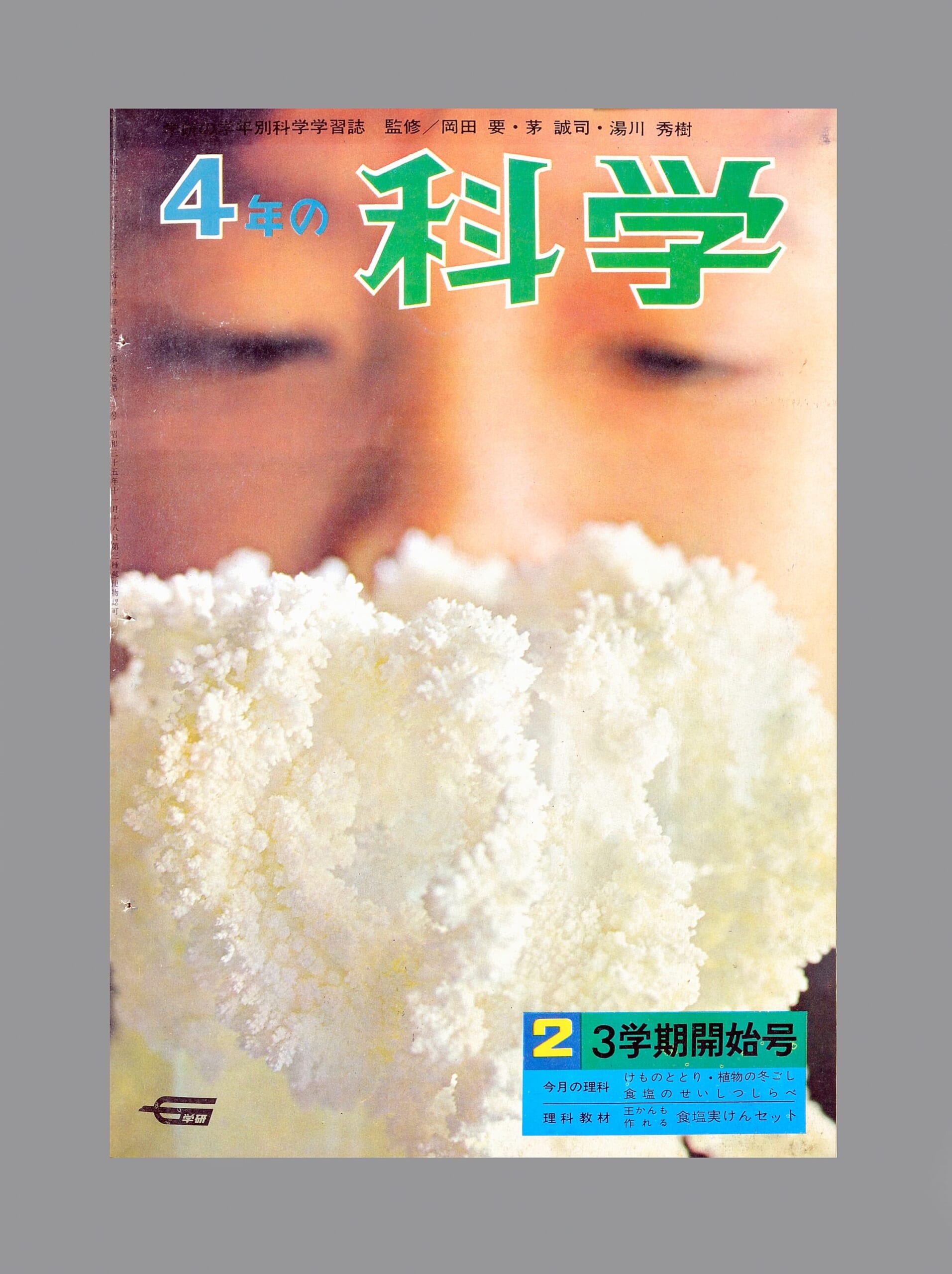 ふろく画像
