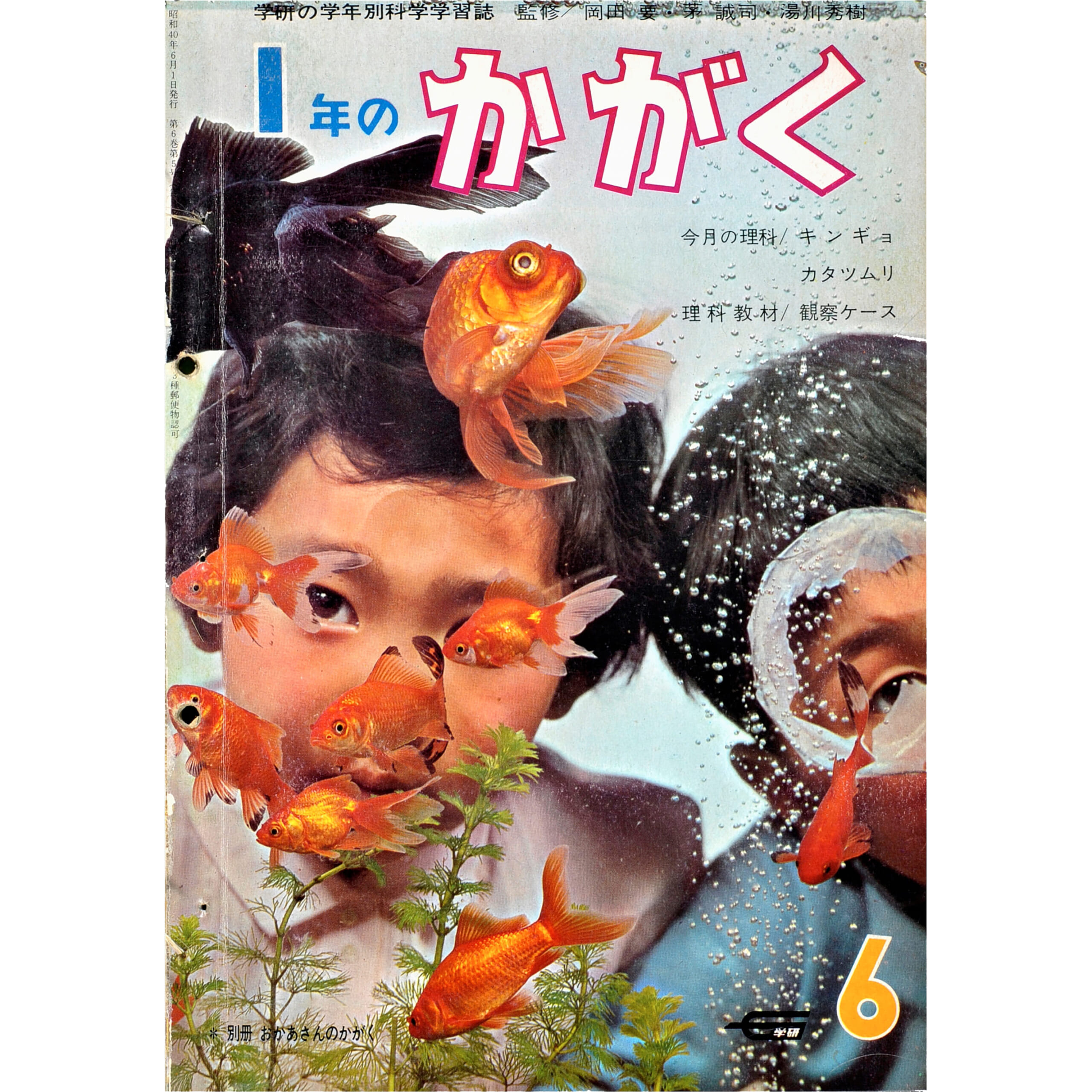 観察ケース