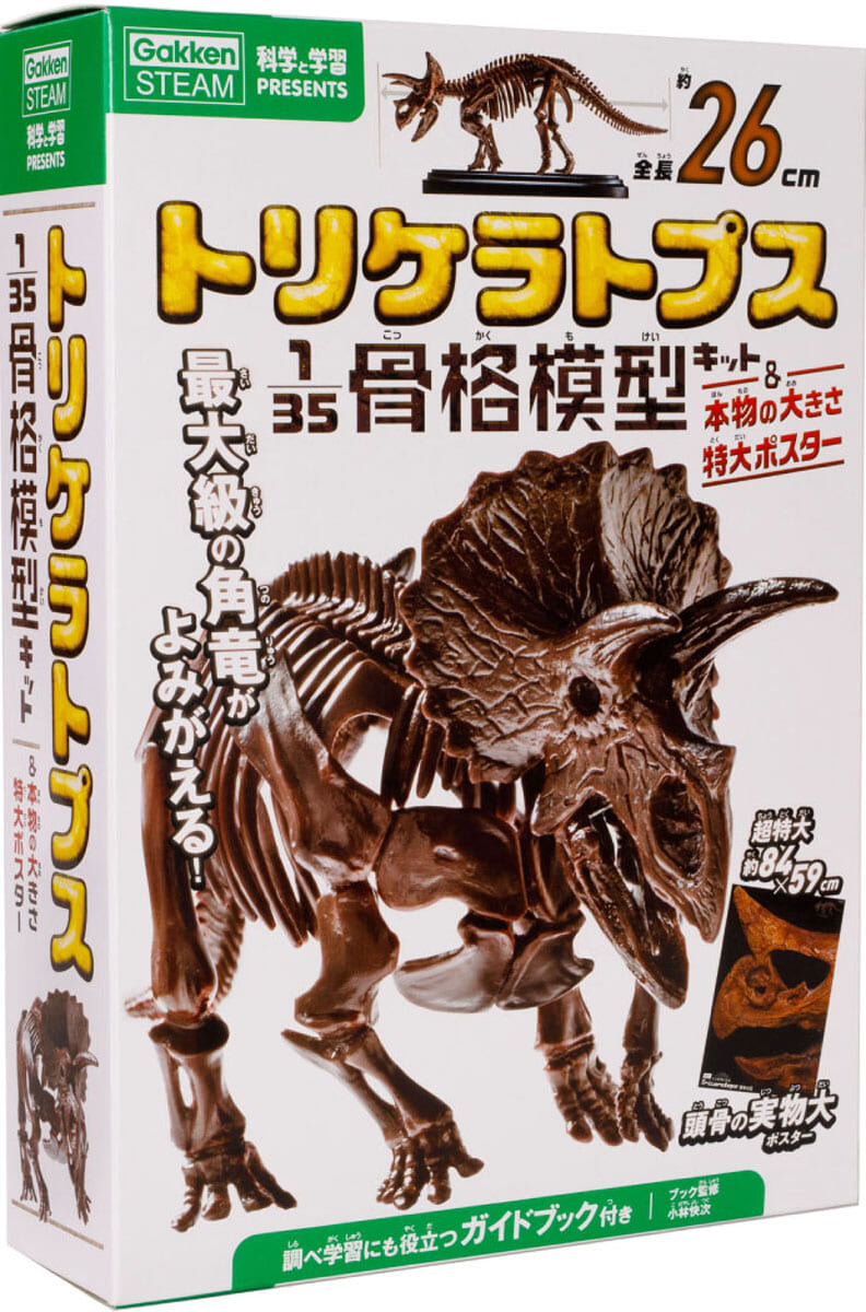 トリケラトプス１／３５骨格模型キット＆本物の大きさ特大ポスター