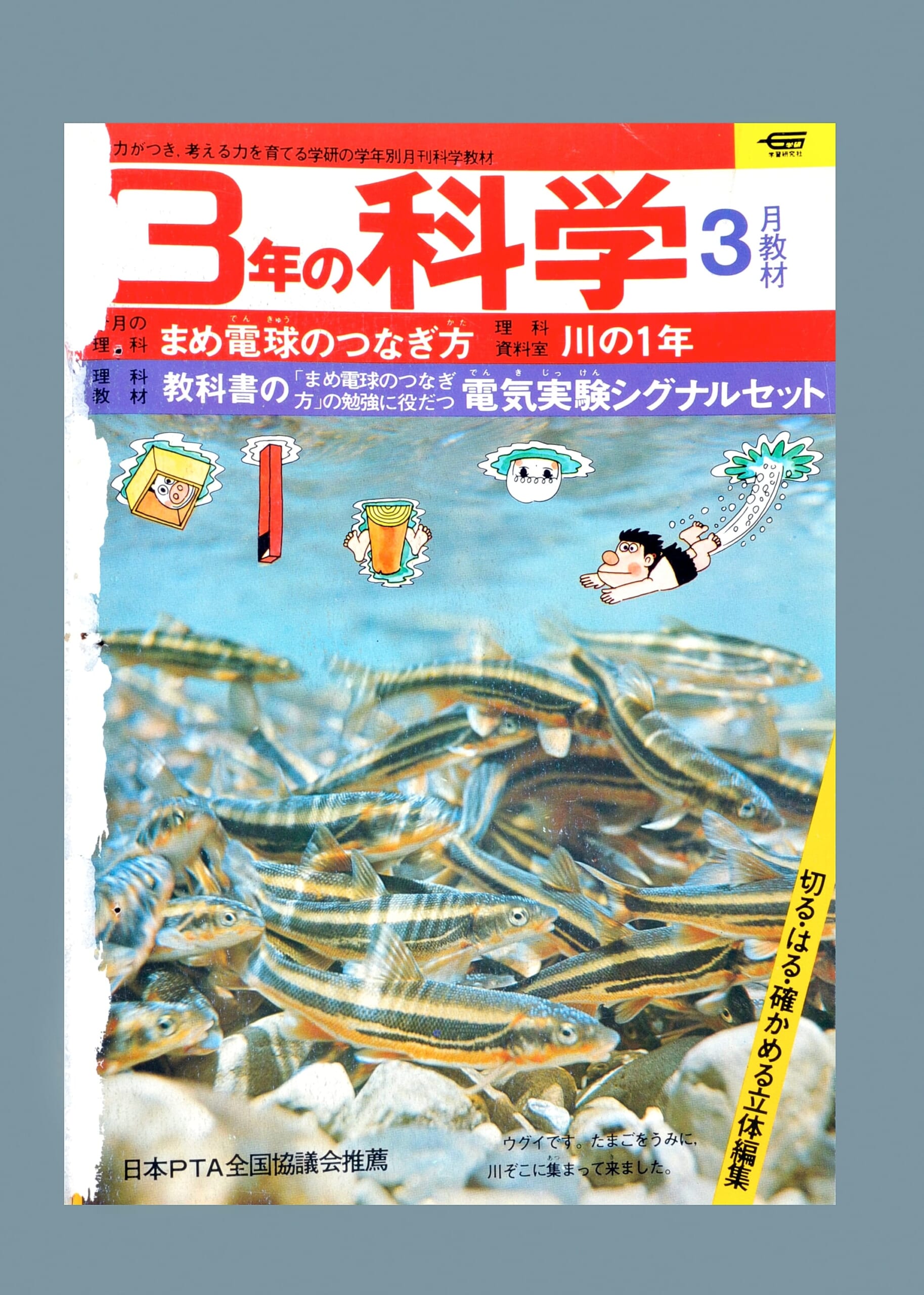ふろく画像
