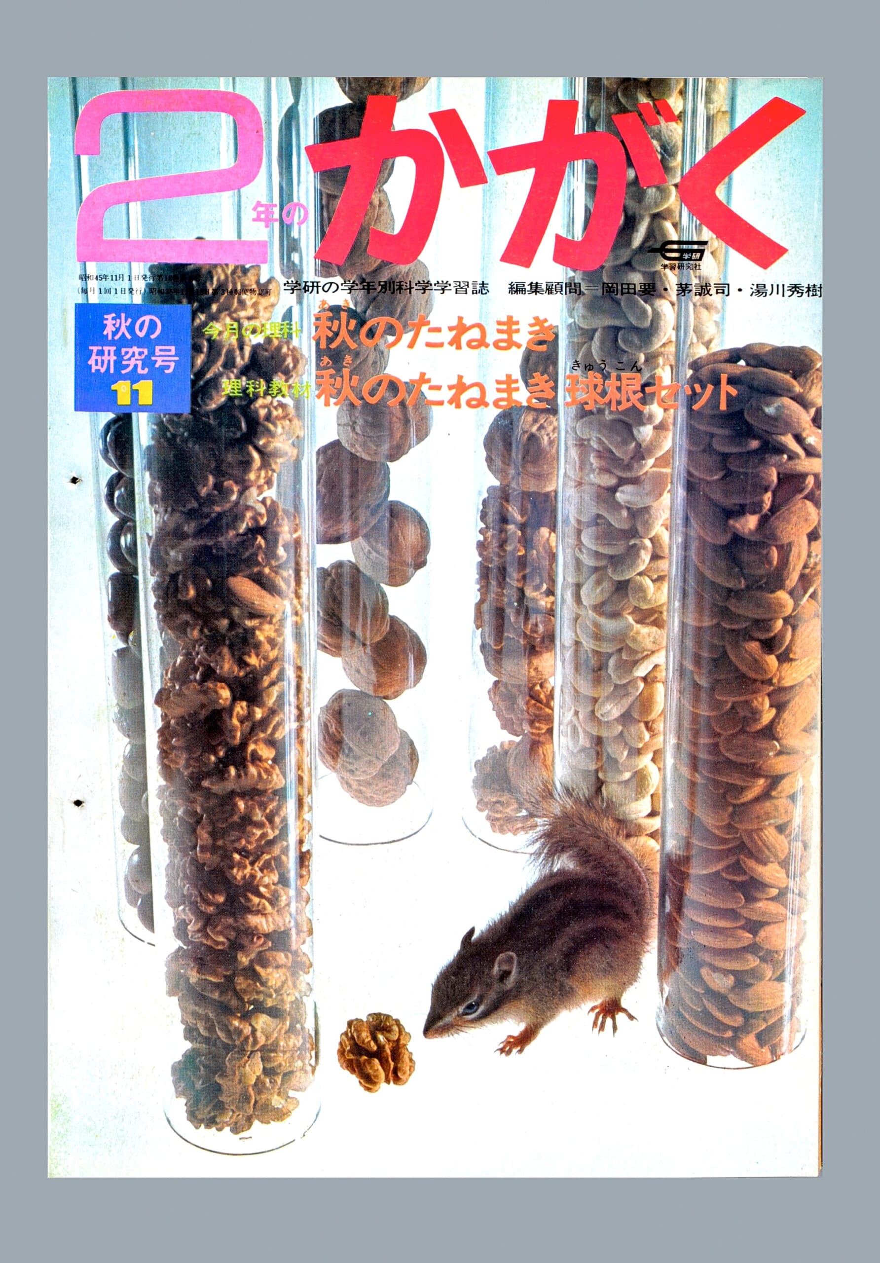 ふろく画像
