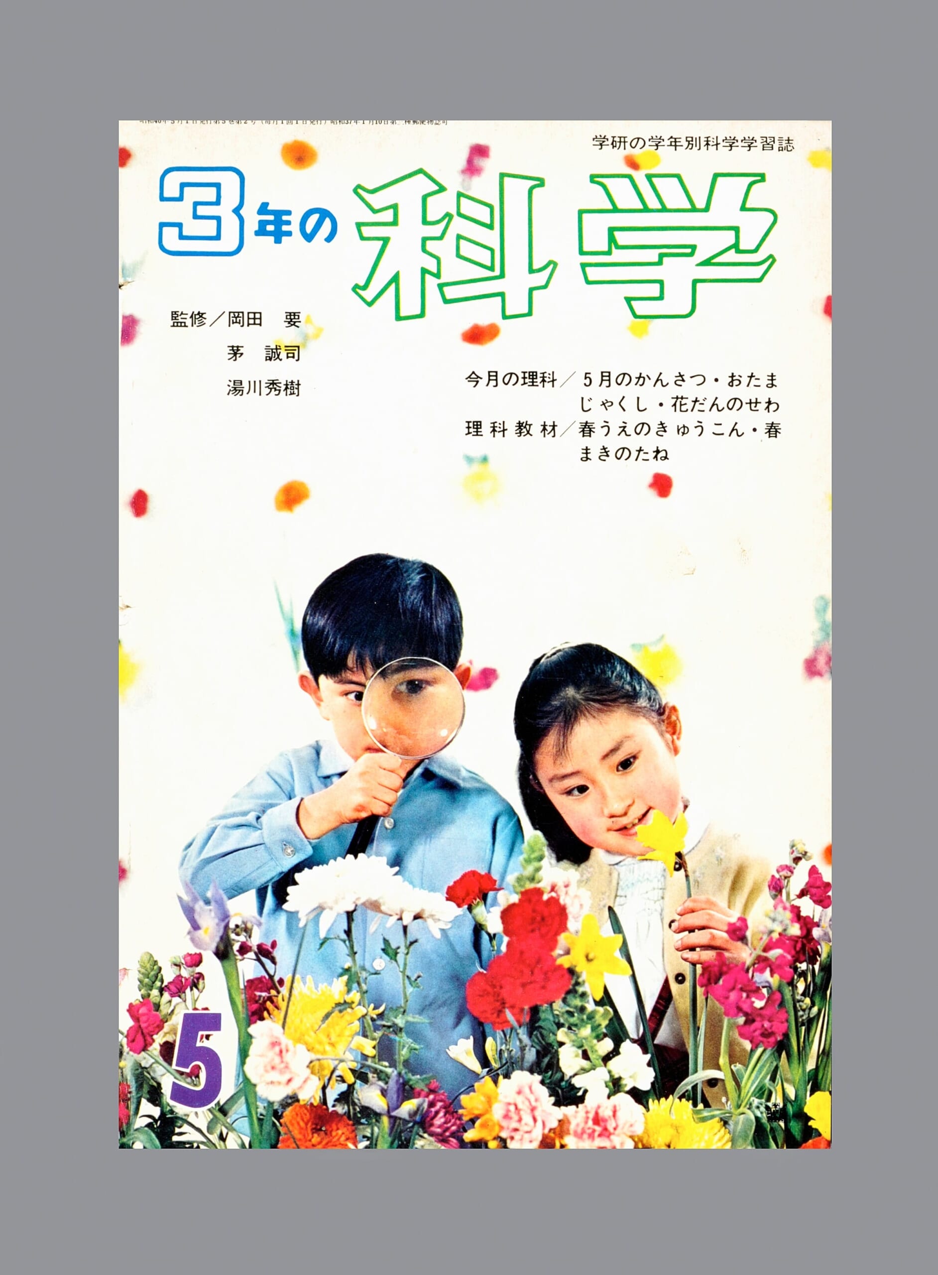 春うえのきゅうこん・春まきのたね
