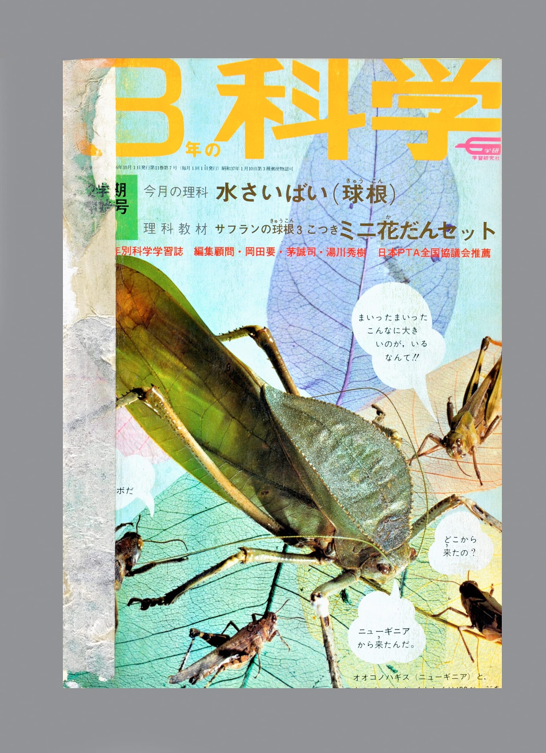 ふろく画像