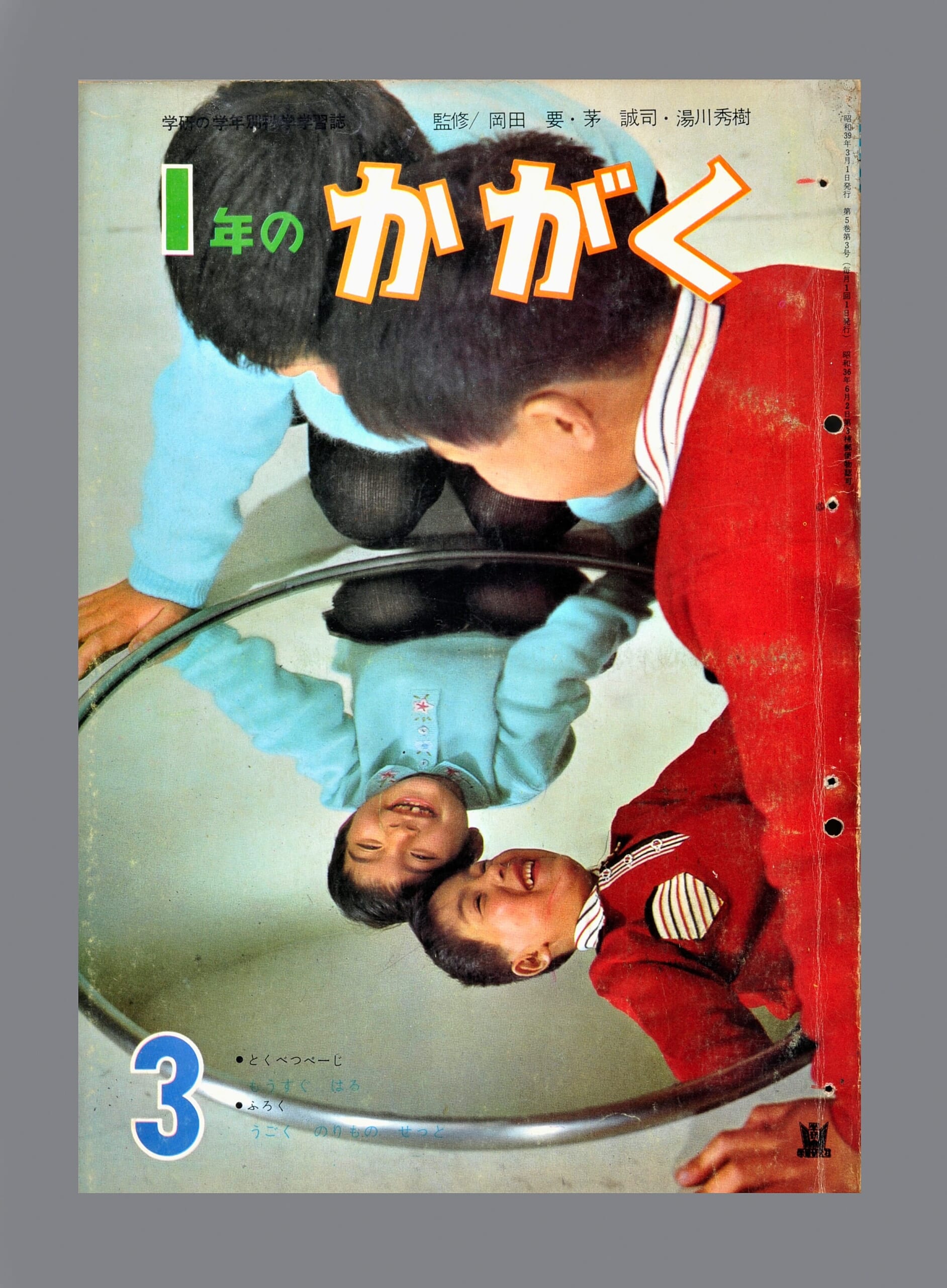 ふろく名前がわかりません