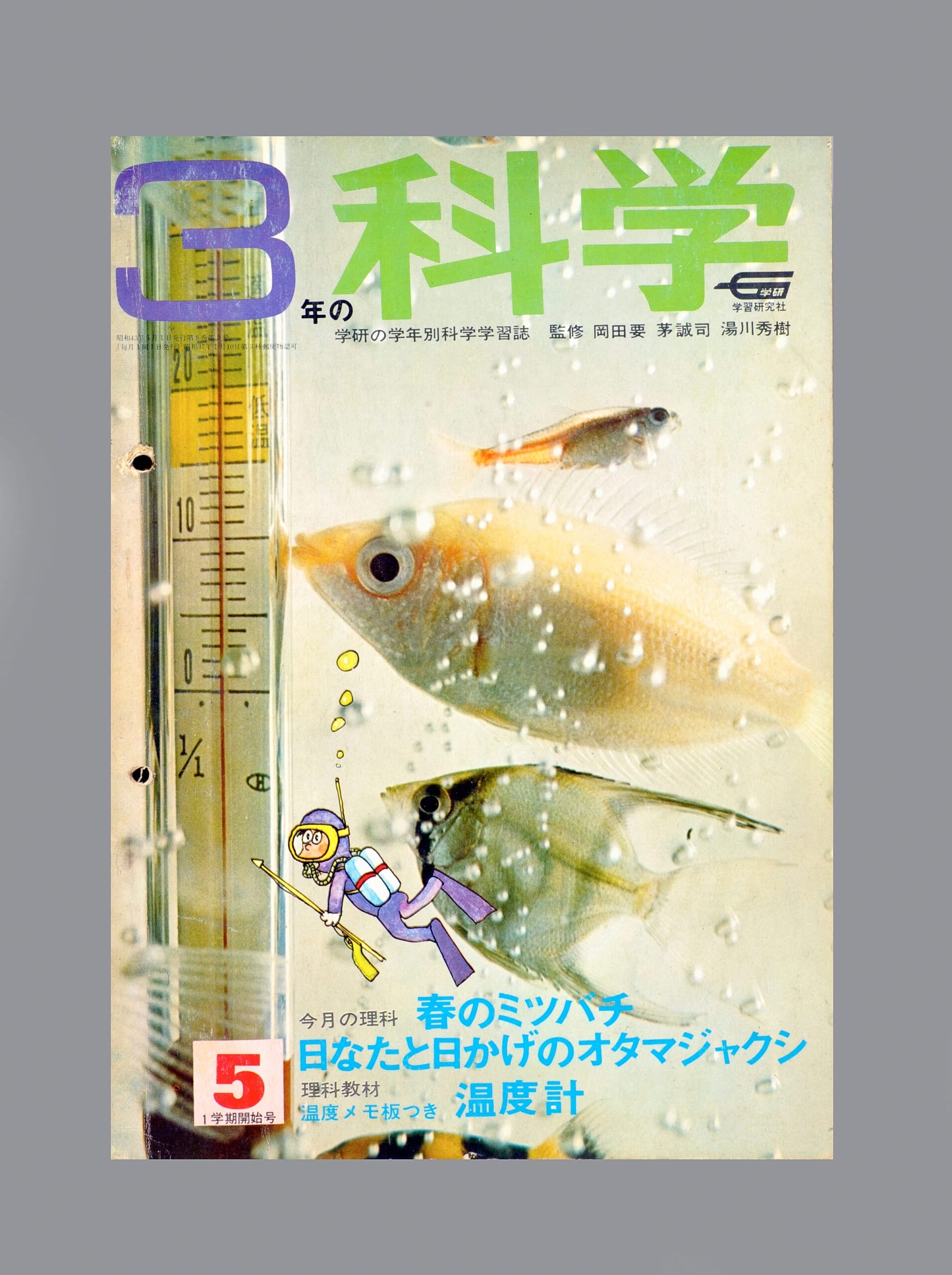 ふろく画像