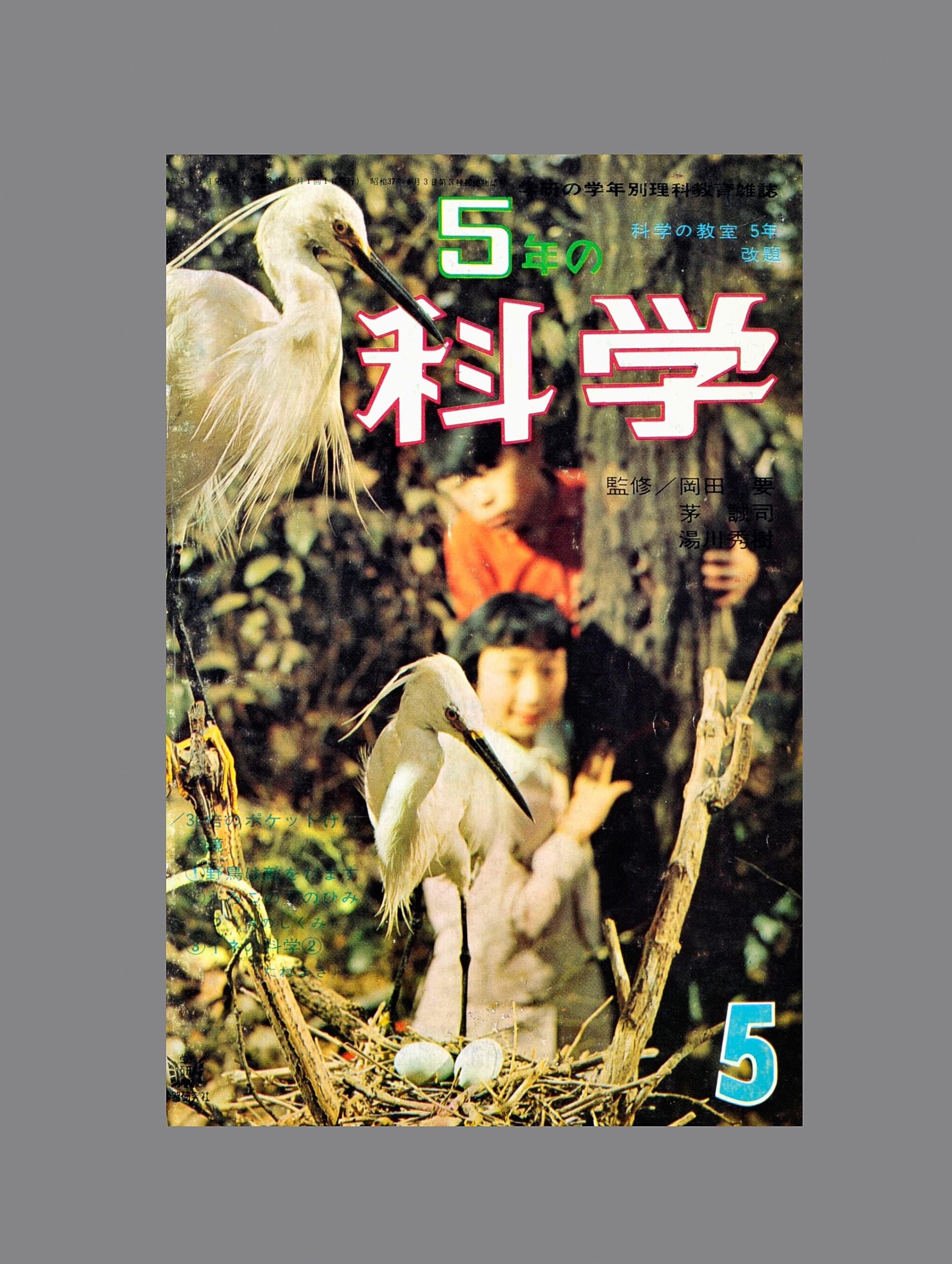 30倍のポケットけんび鏡