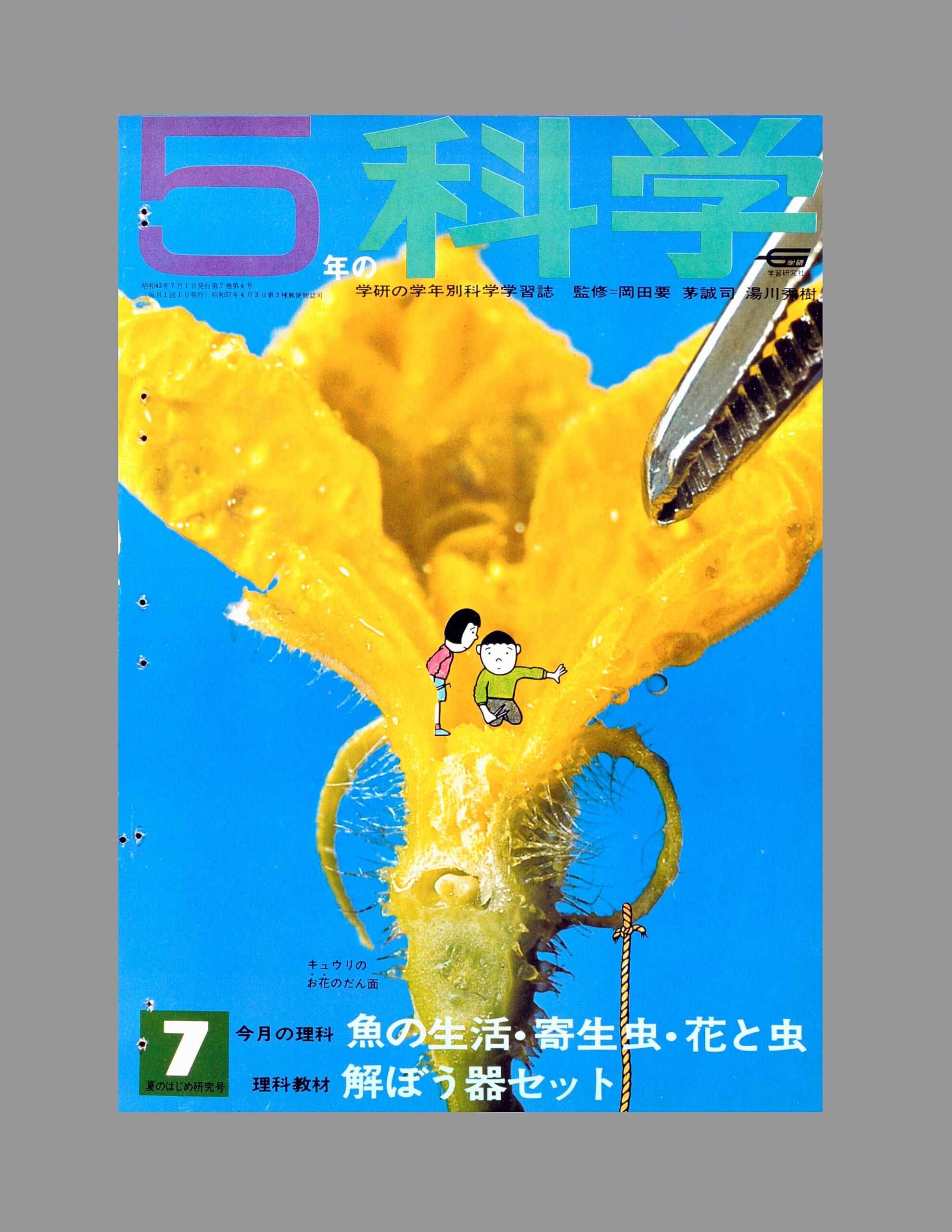 ふろく画像