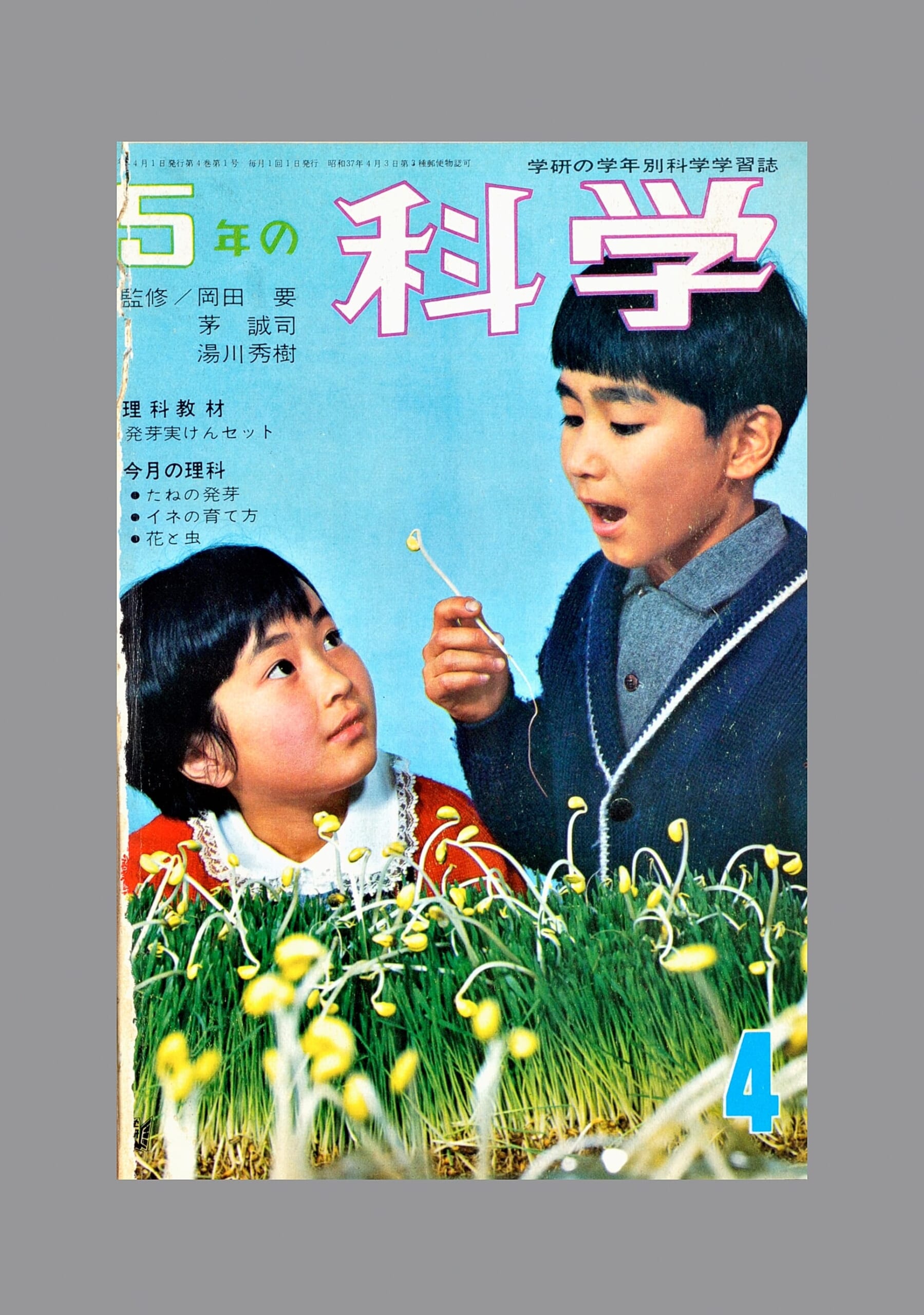 ふろく画像