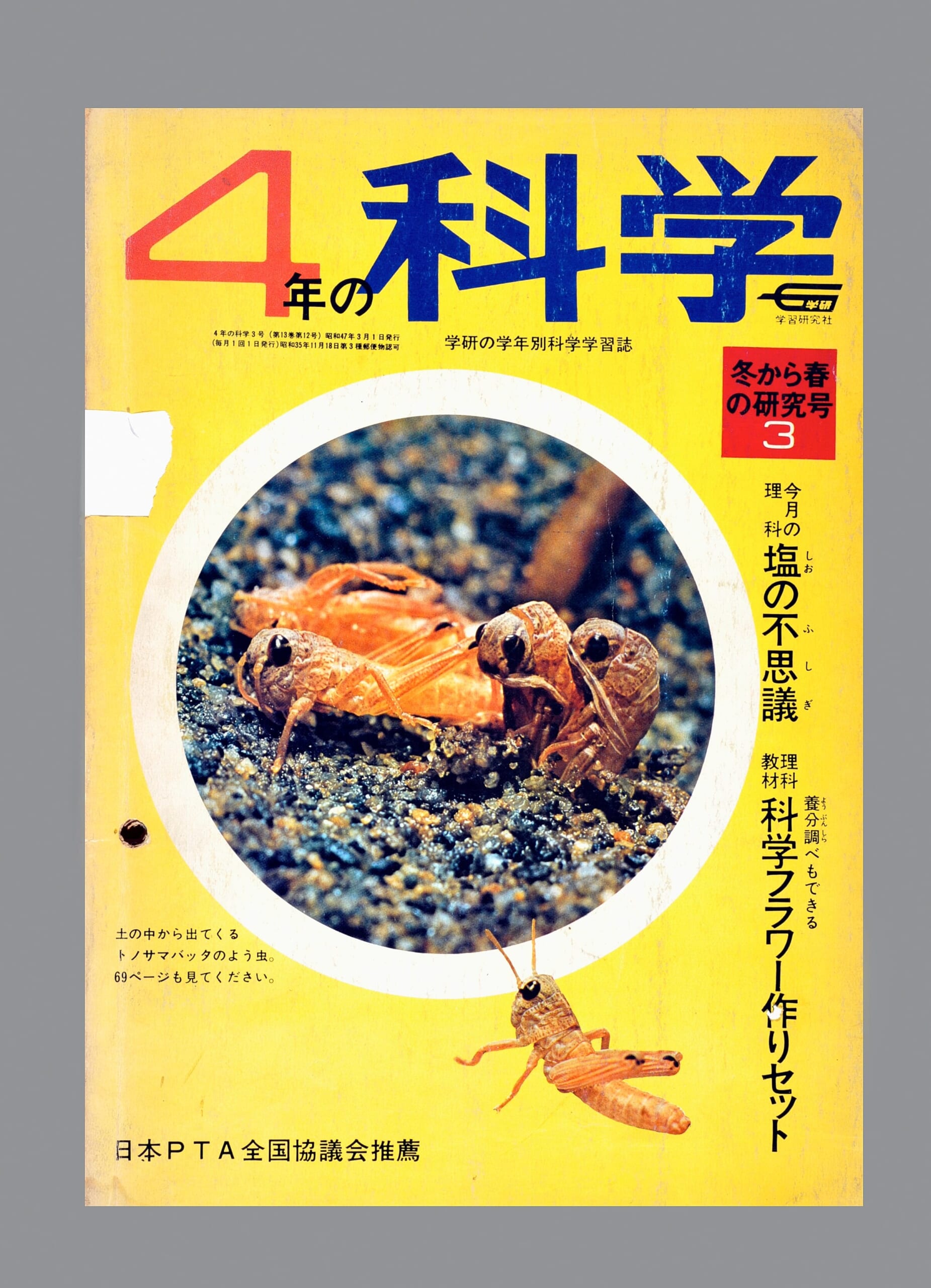 ふろく画像
