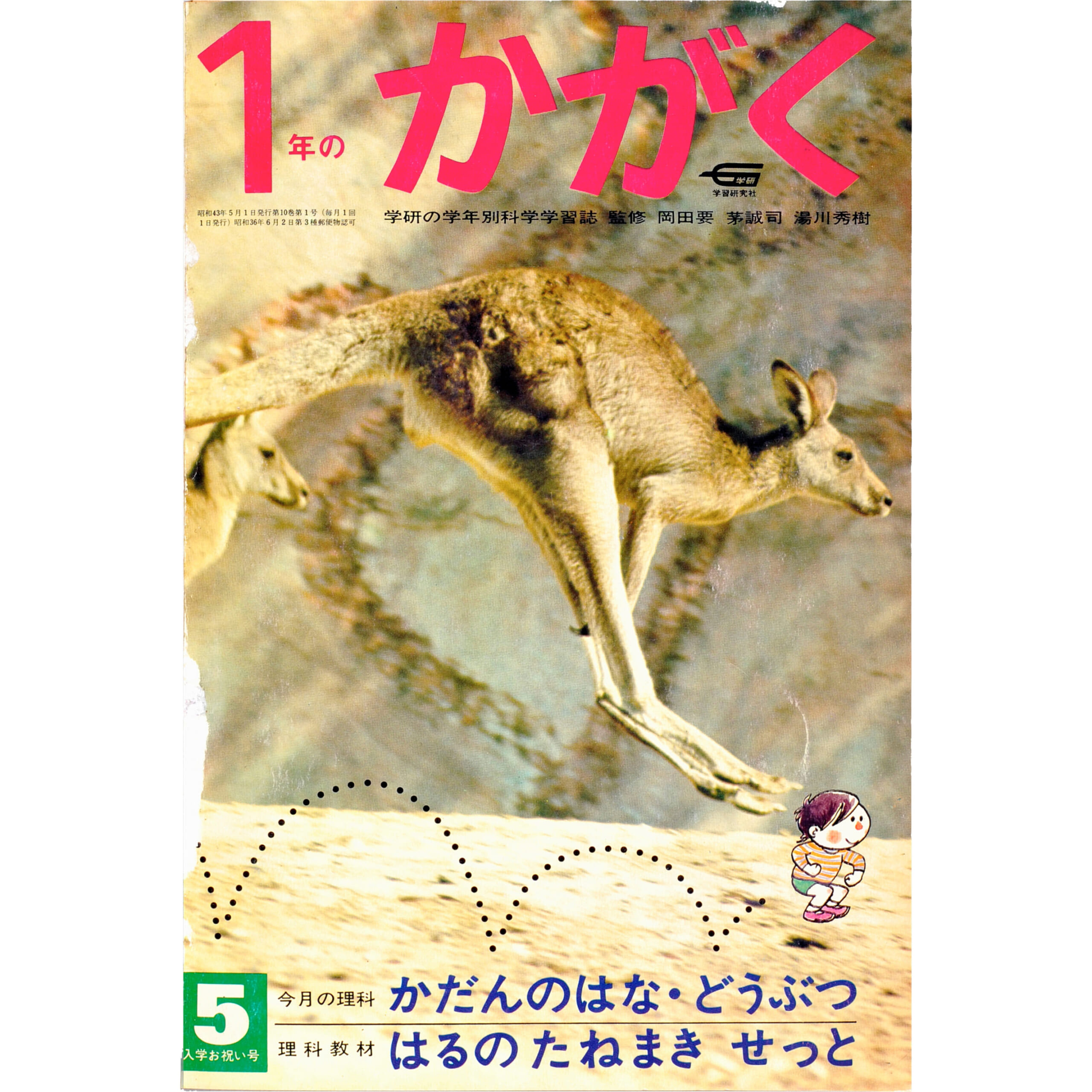 ふろく画像