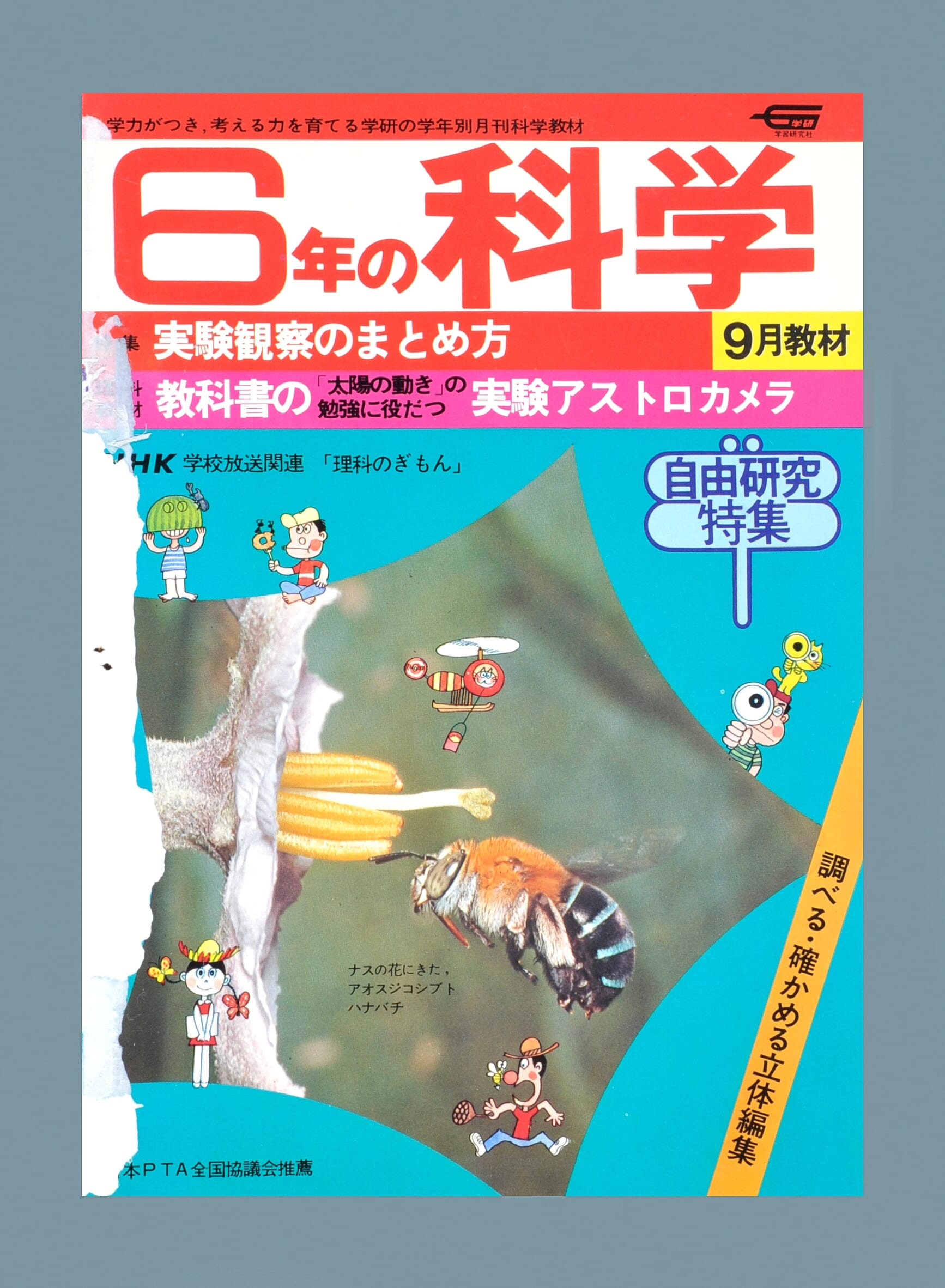 ふろく画像