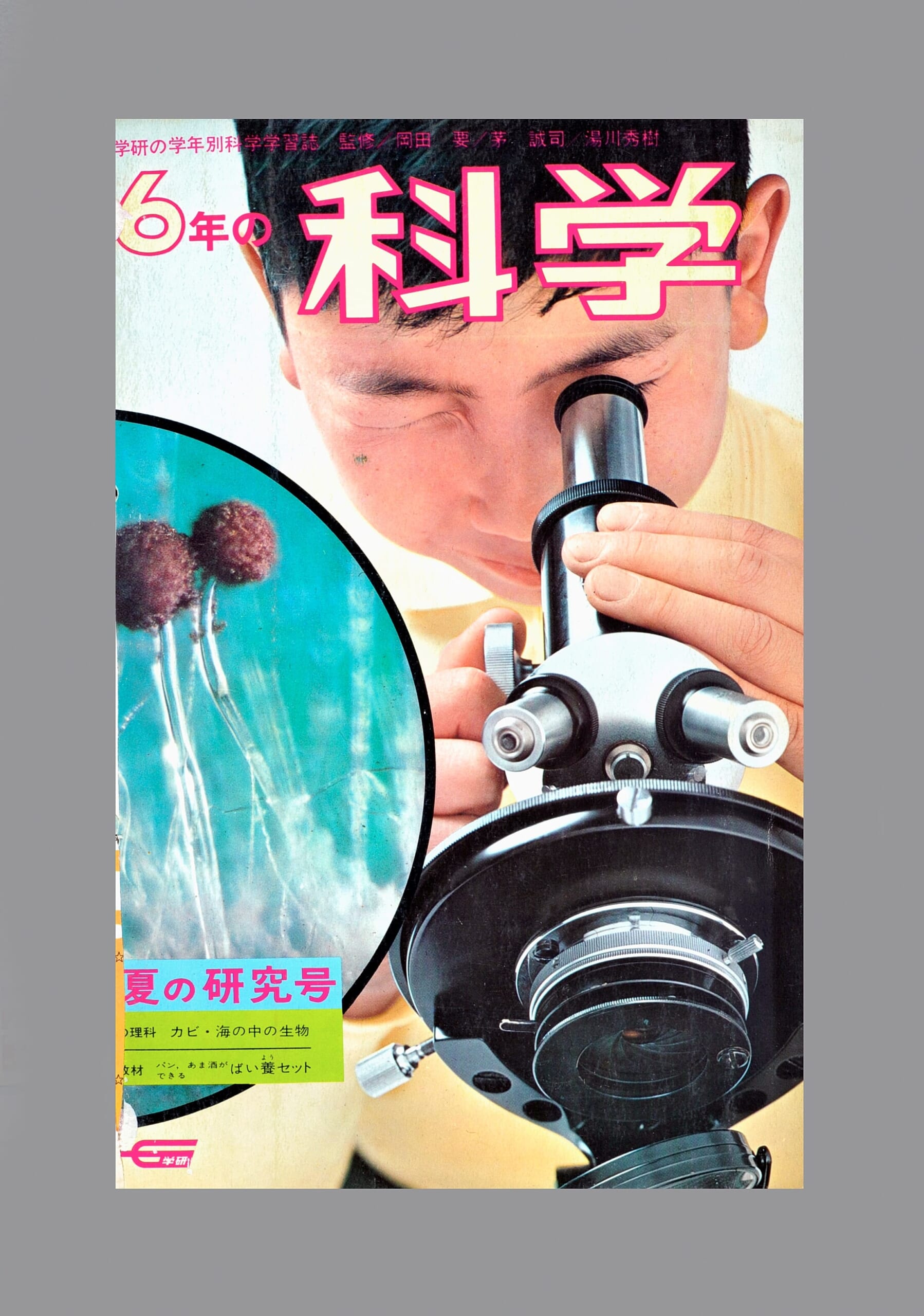 ふろく画像