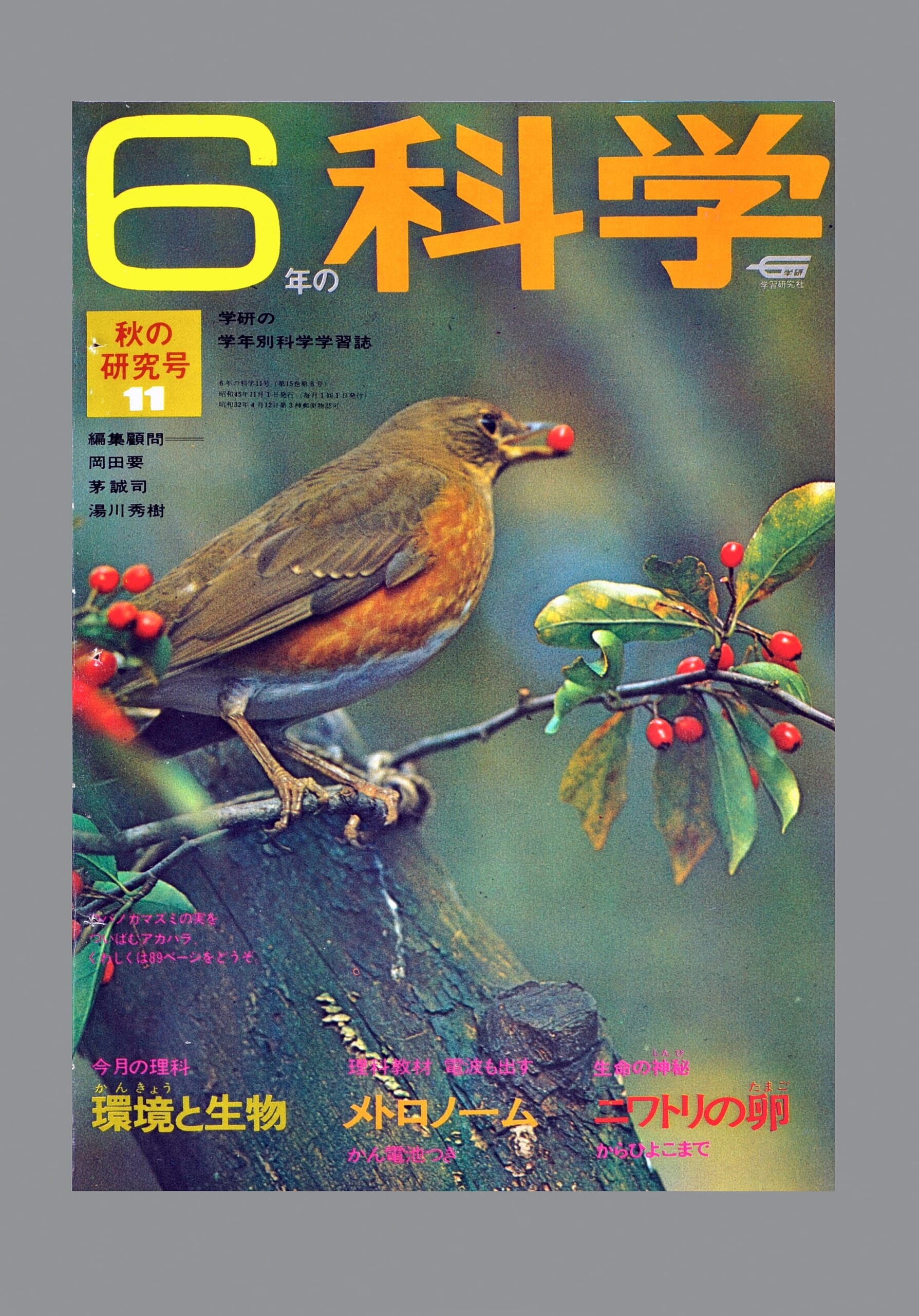 ふろく画像