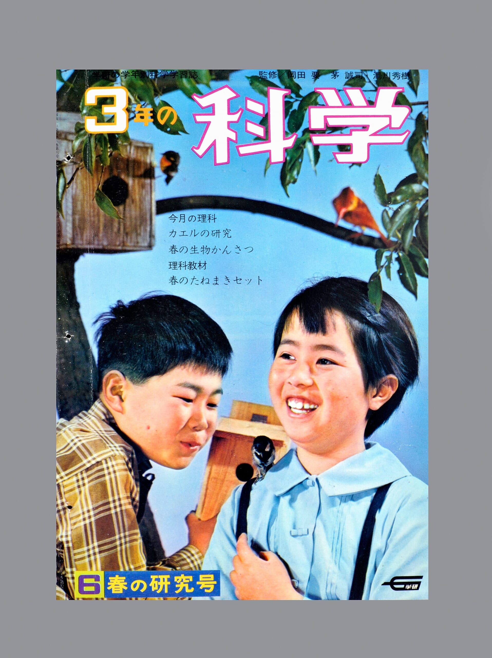 ふろく画像