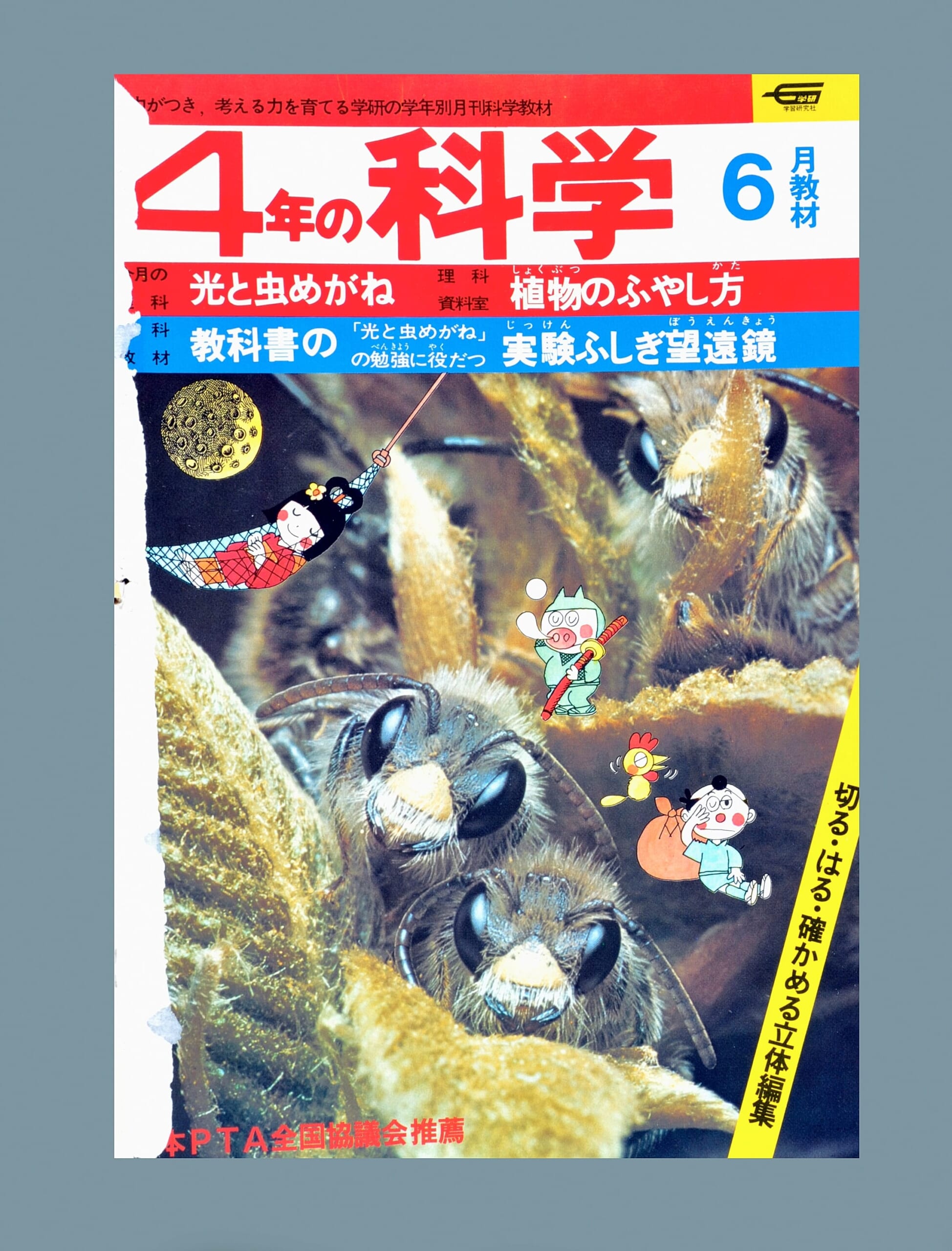 ふろく画像