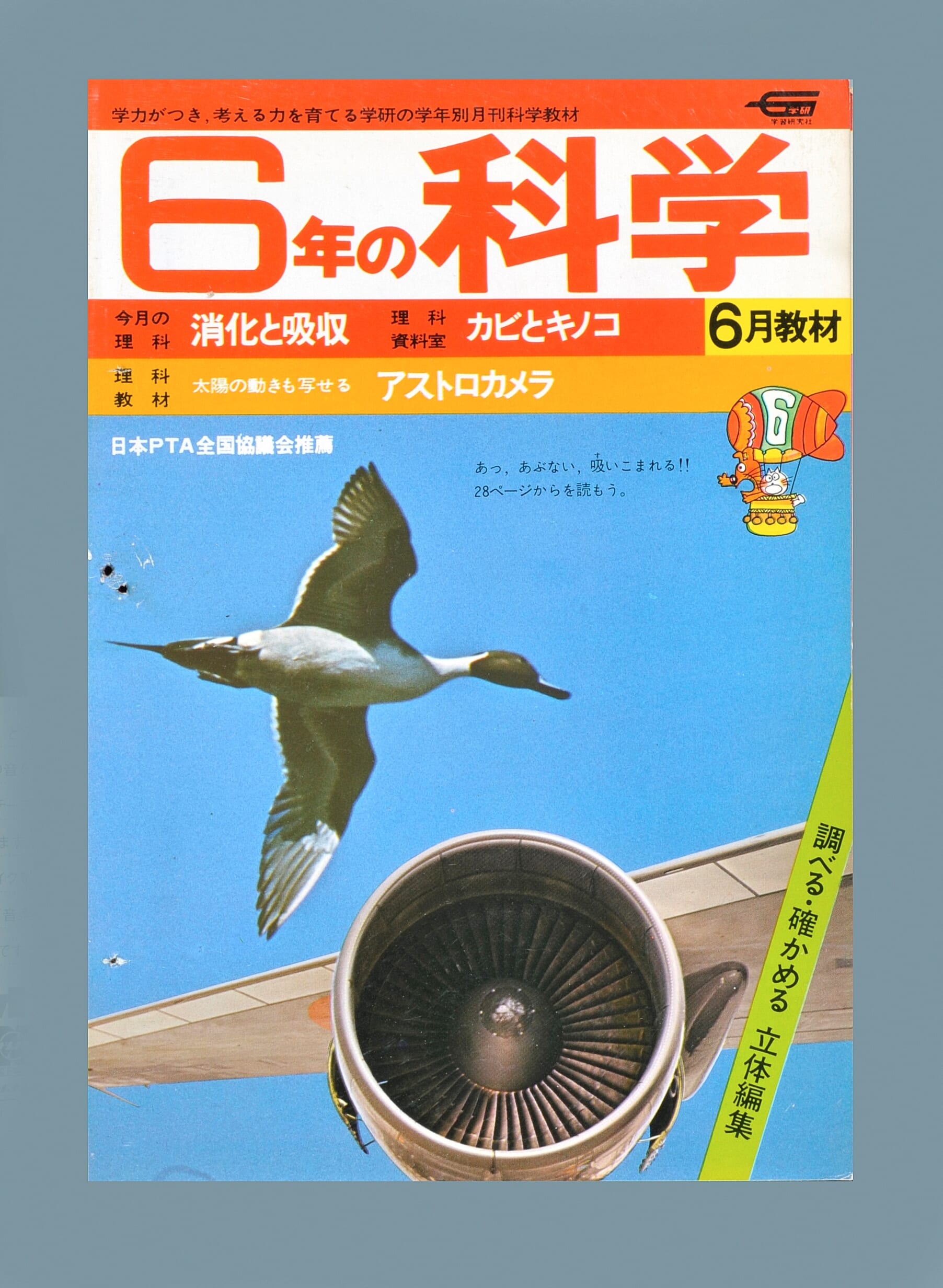 ふろく画像