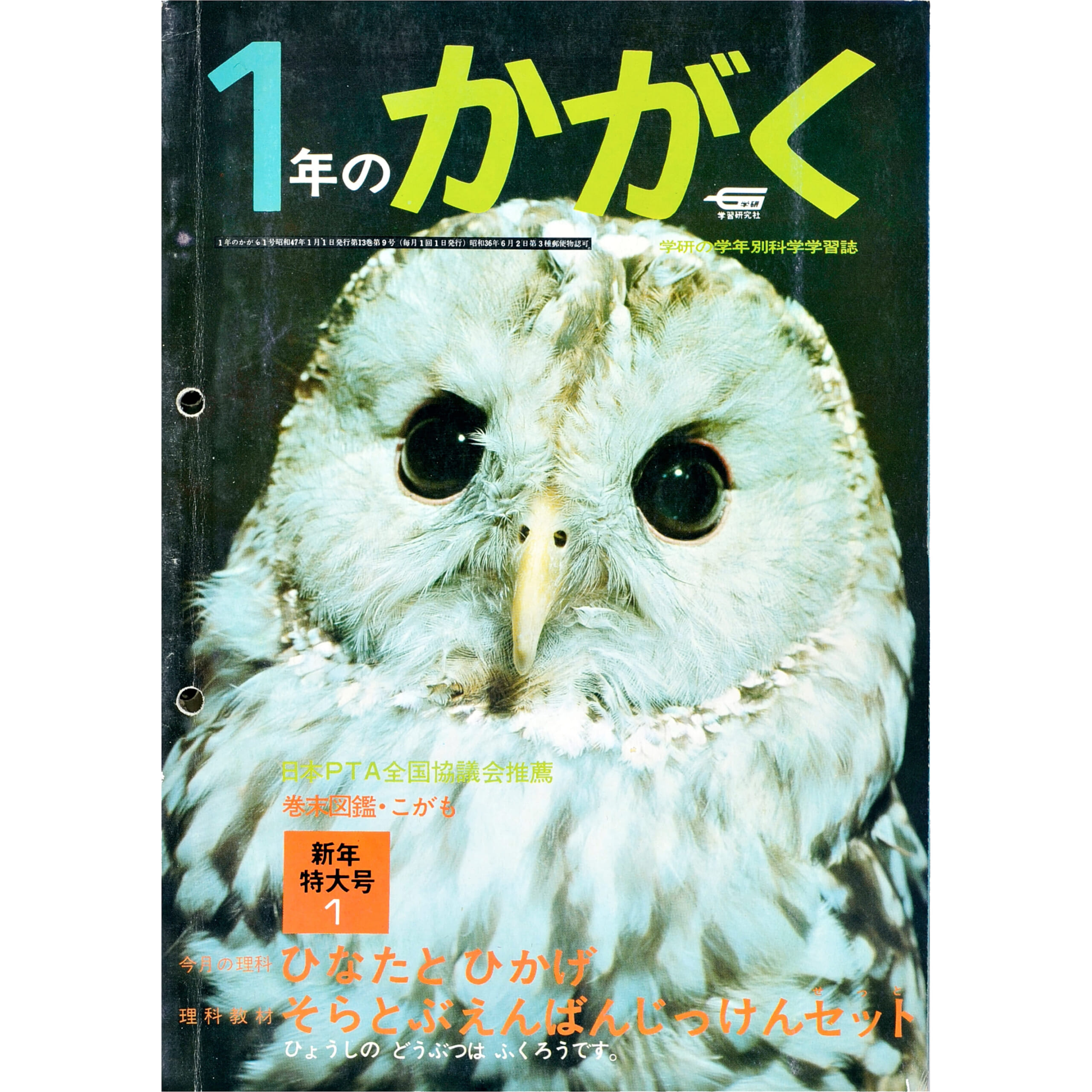 ふろく画像