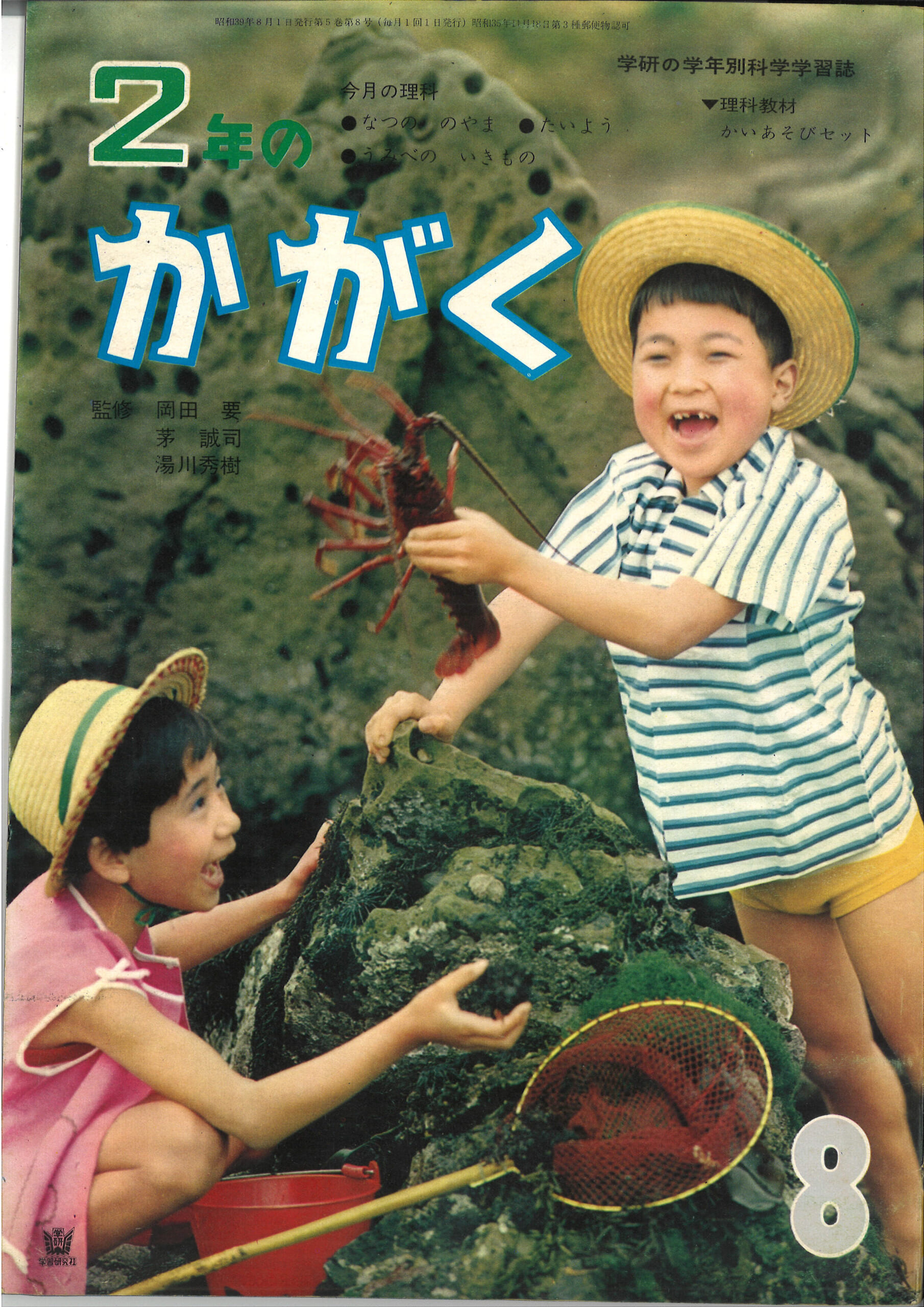 かいあそびセット