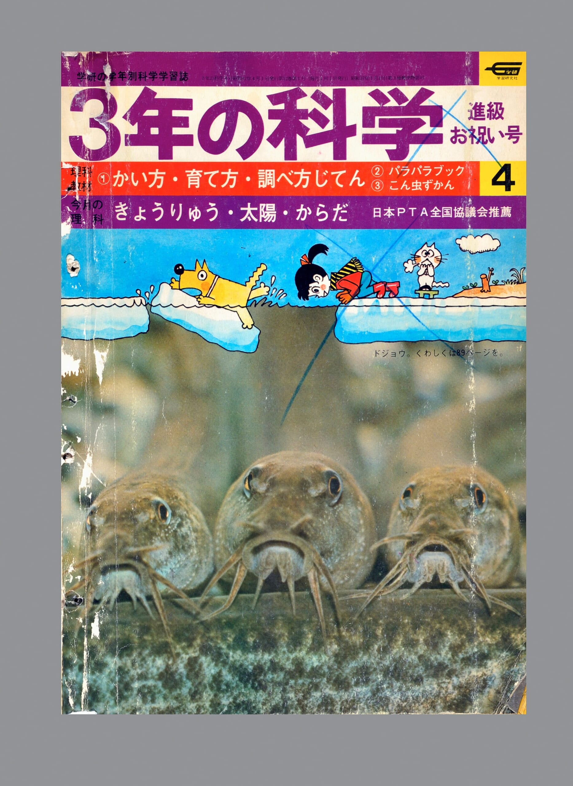 ふろく画像