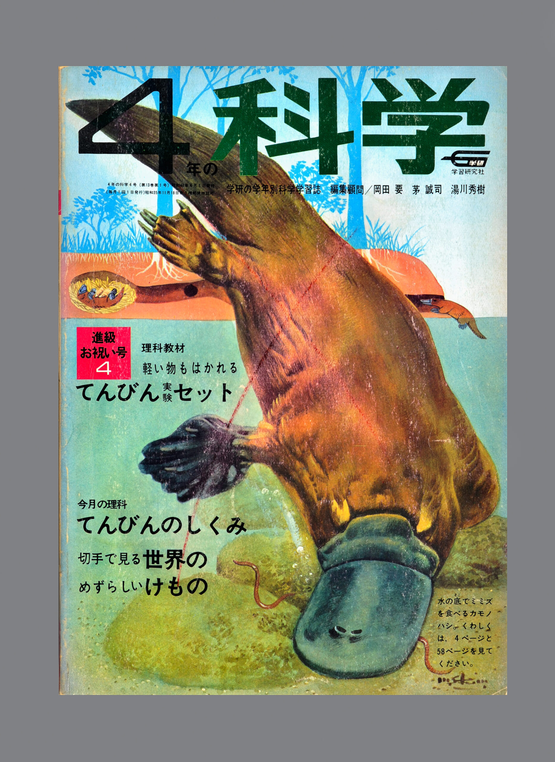 ふろく画像