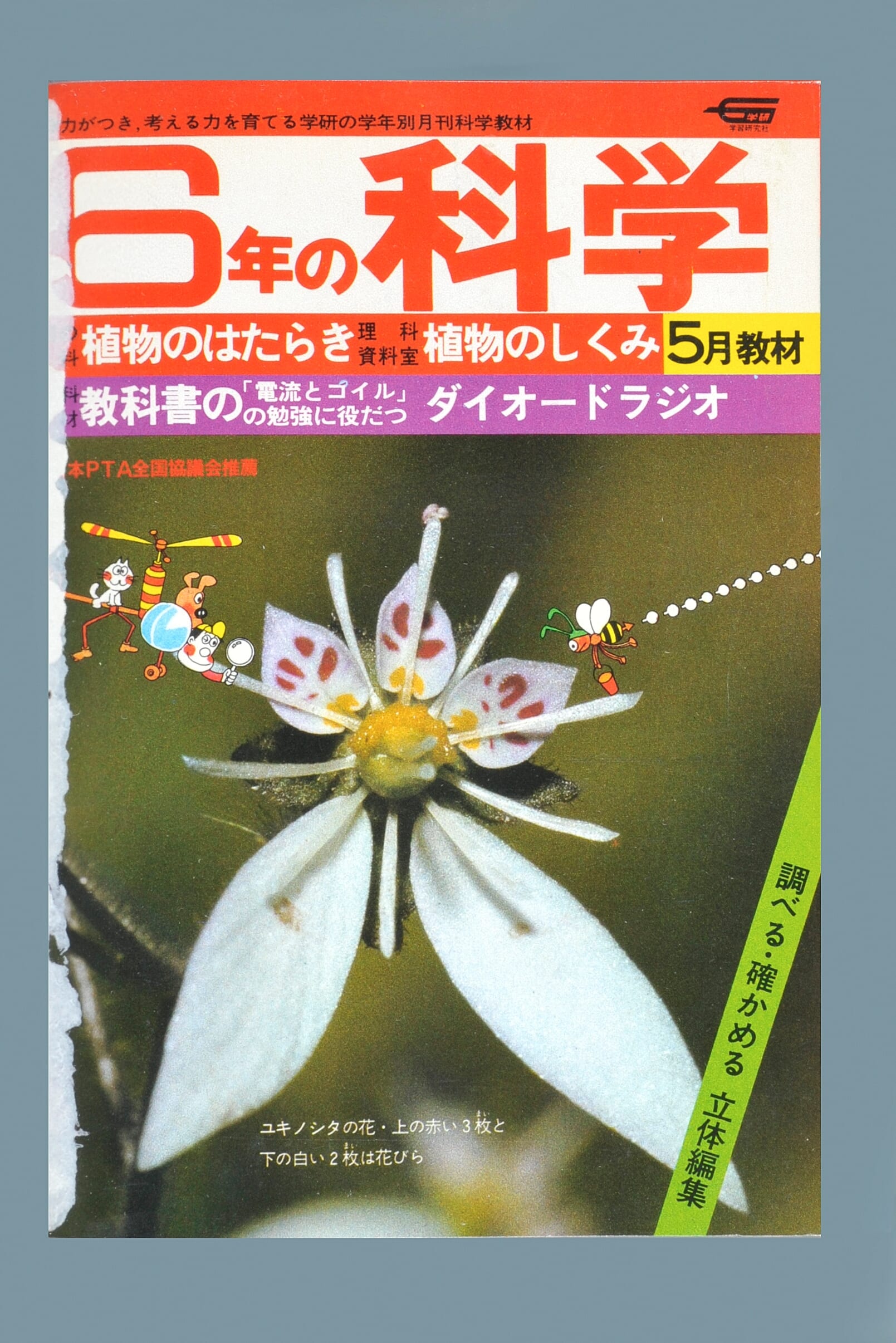 ふろく画像