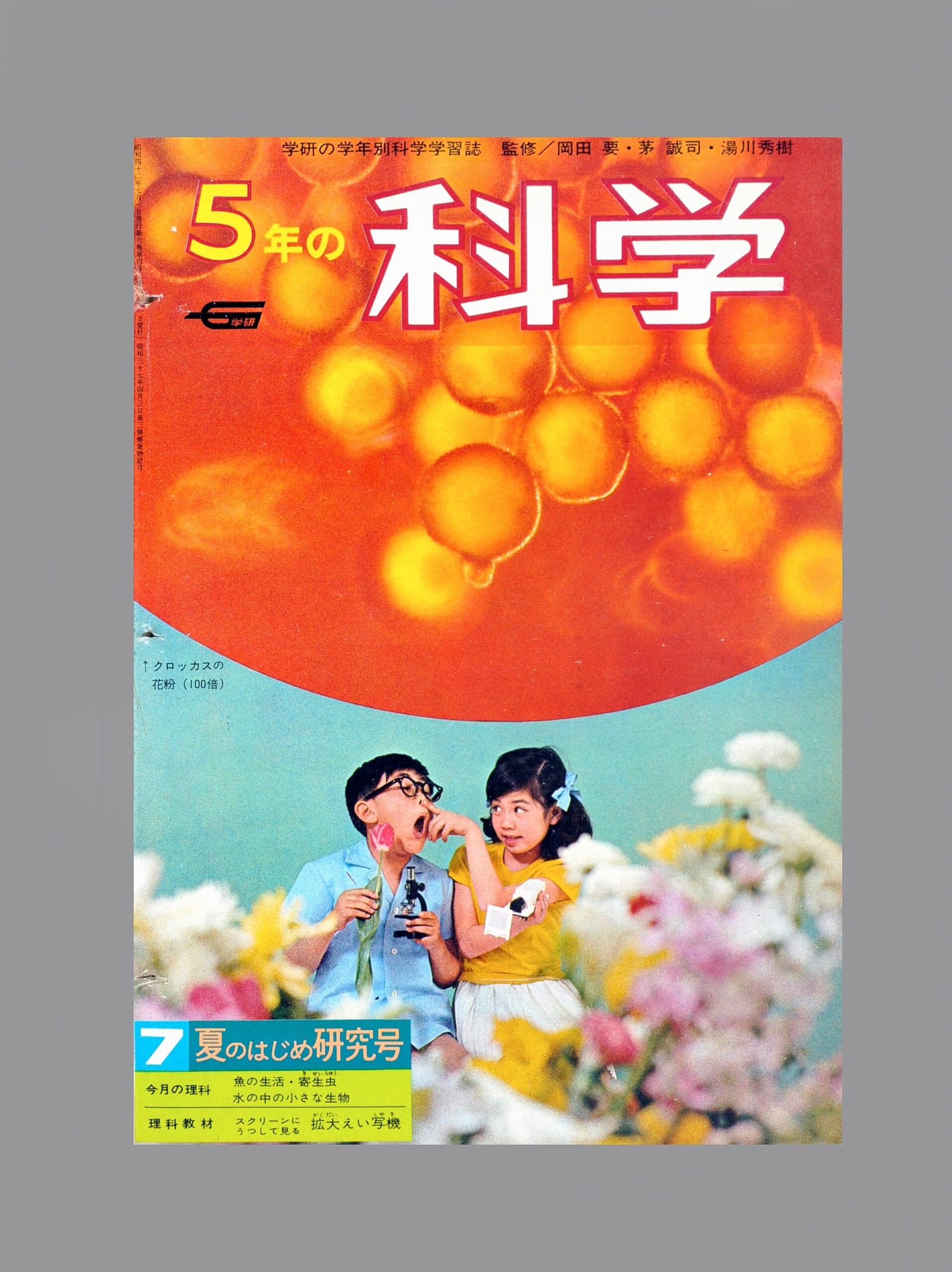 ふろく画像