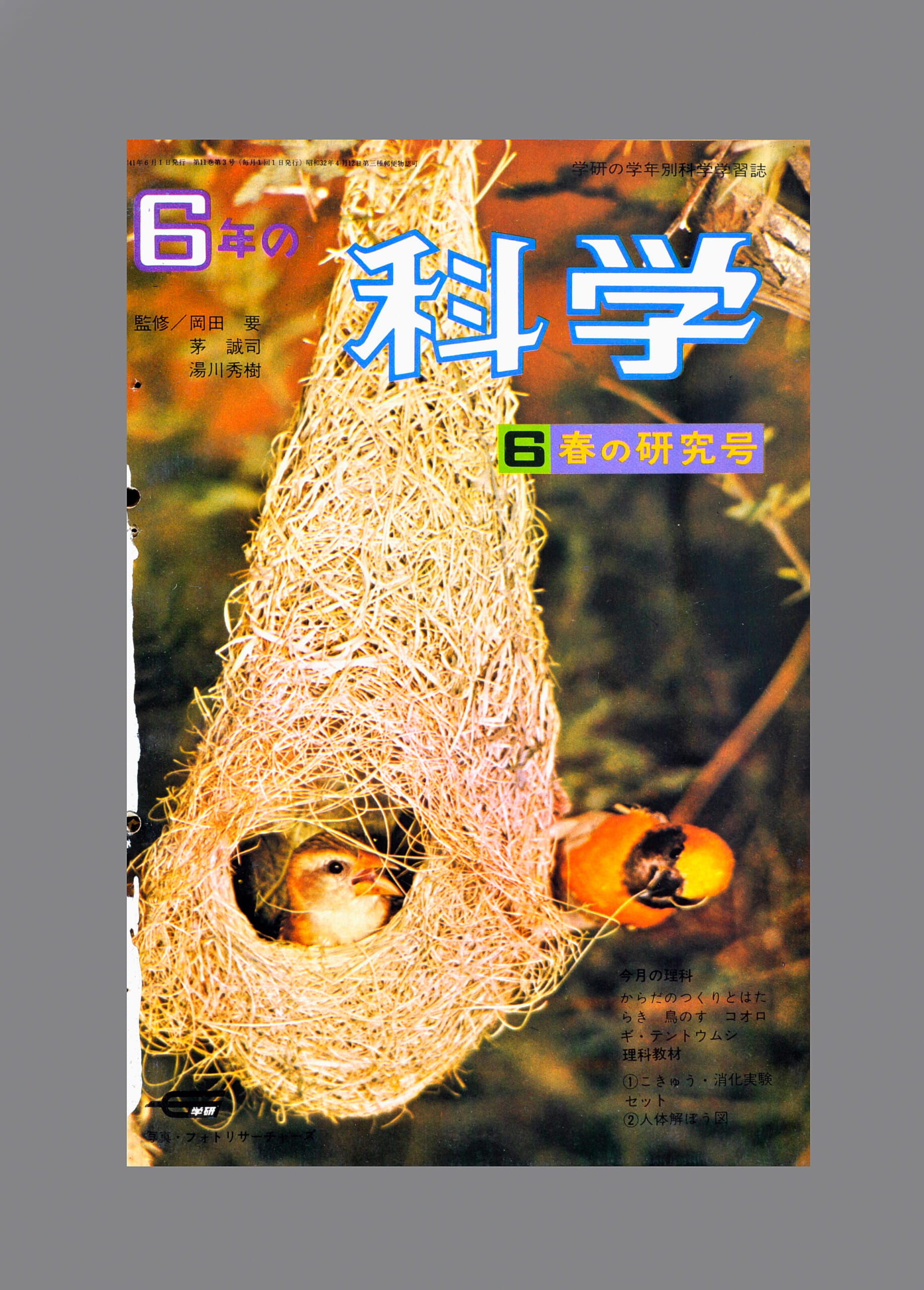 ふろく画像