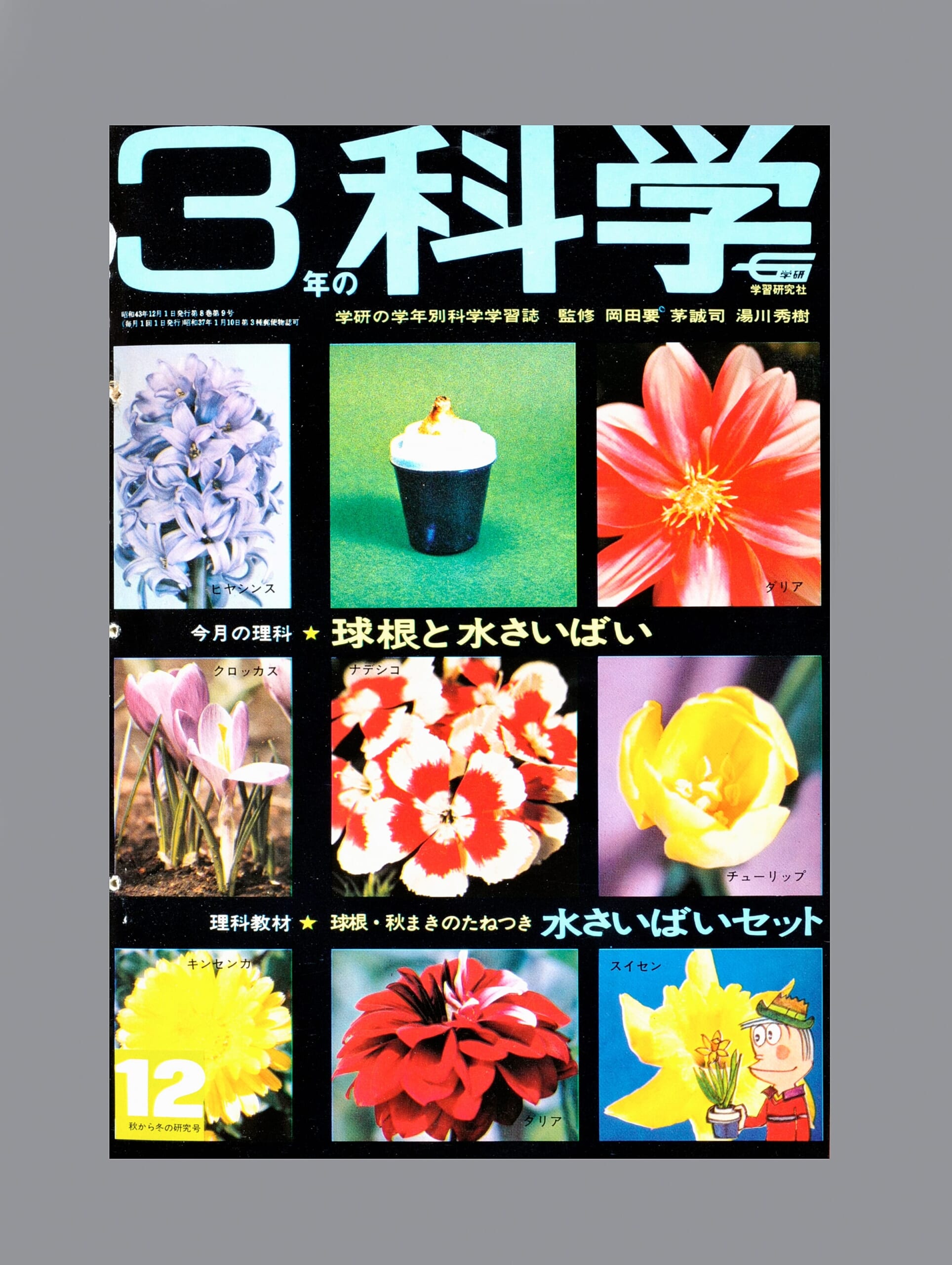 ふろく画像