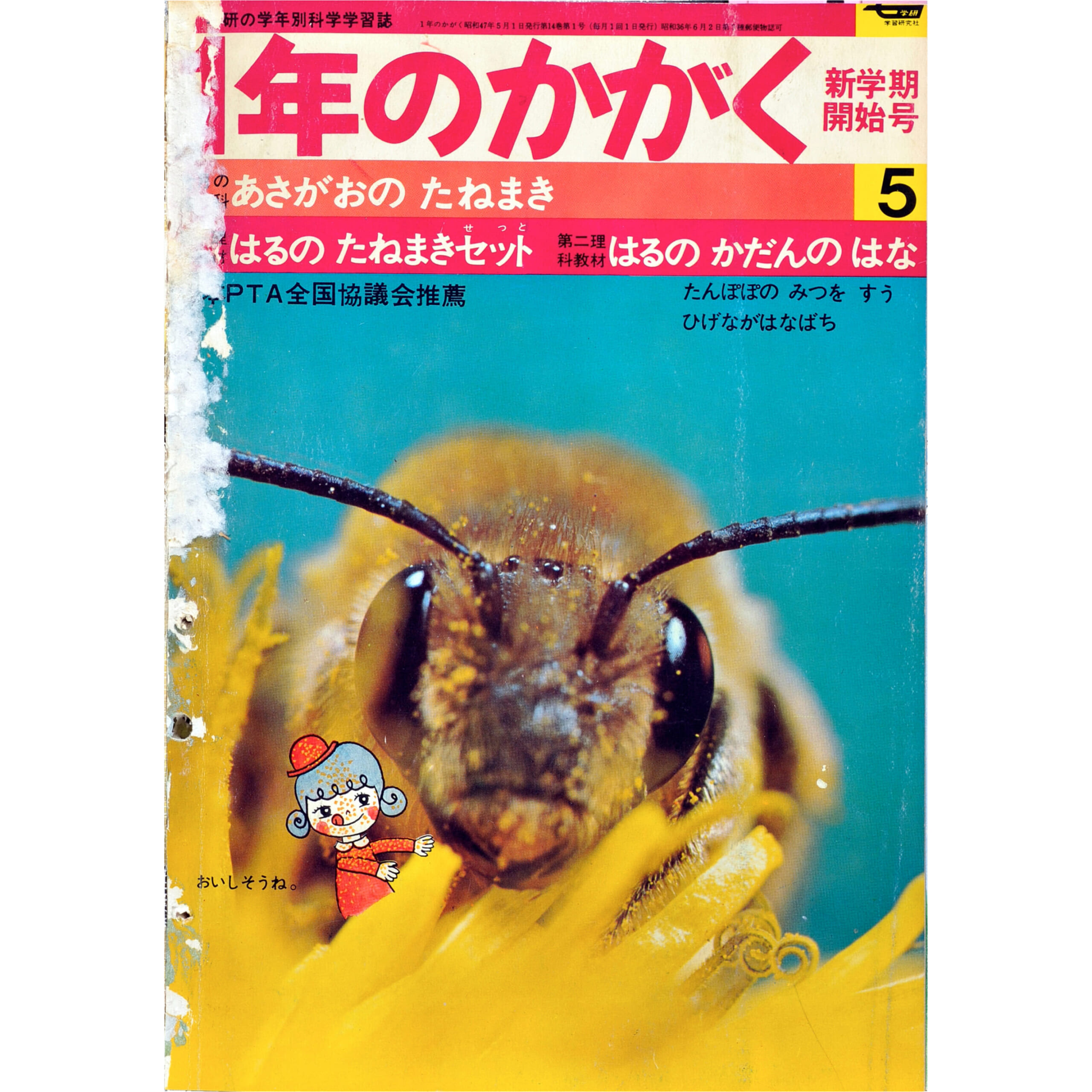 ふろく画像