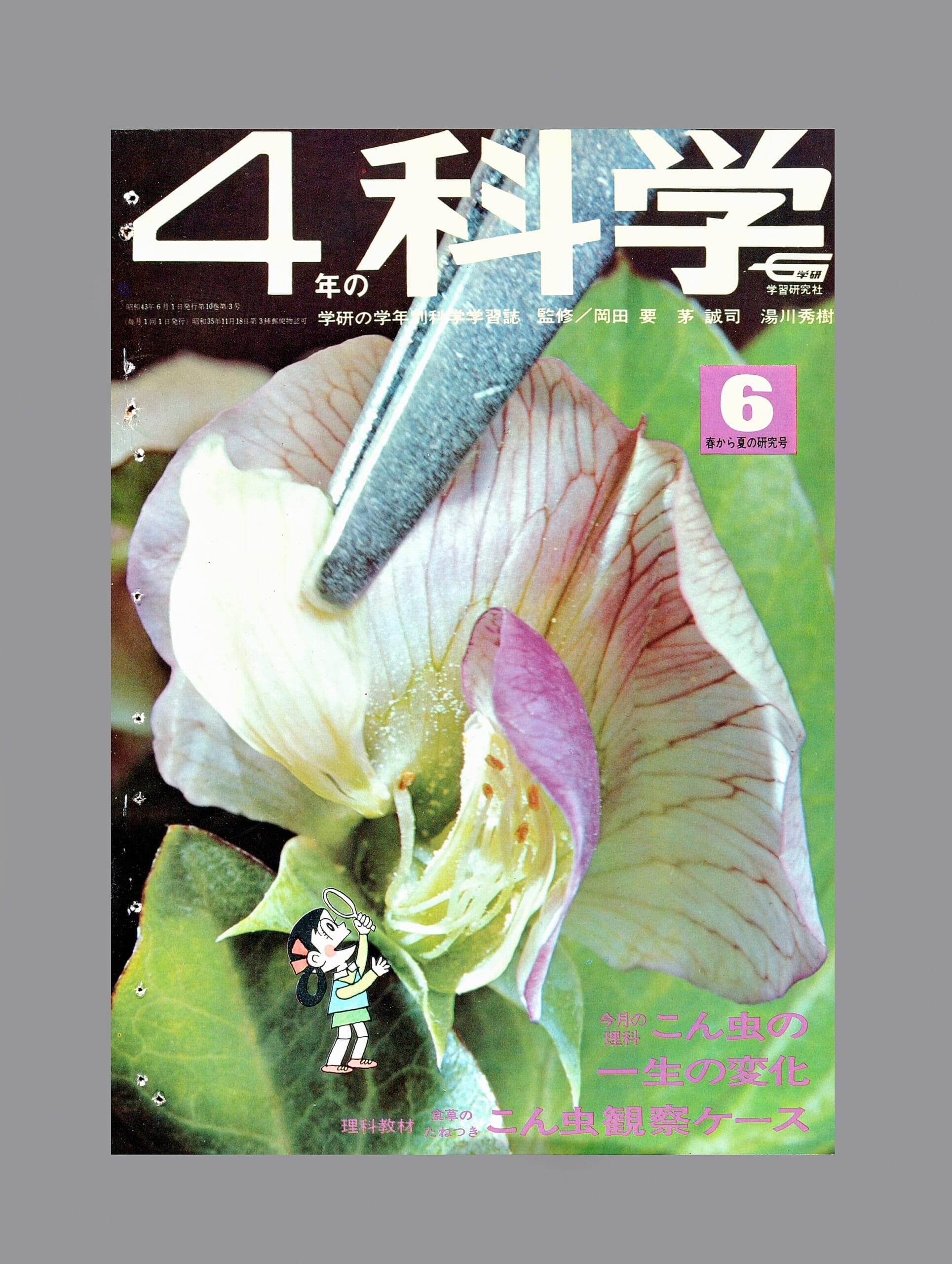 ふろく画像