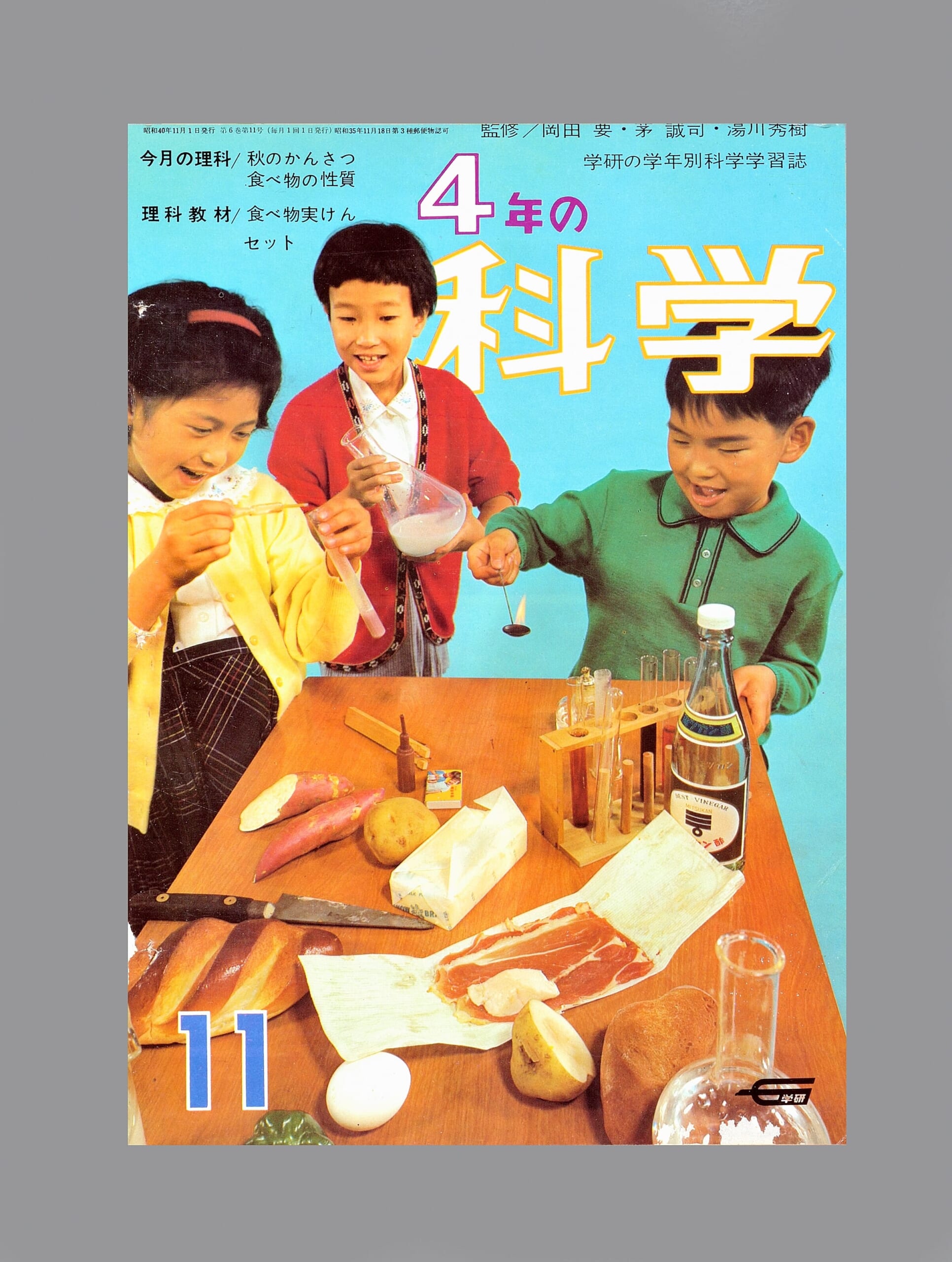 食べ物実けんセット