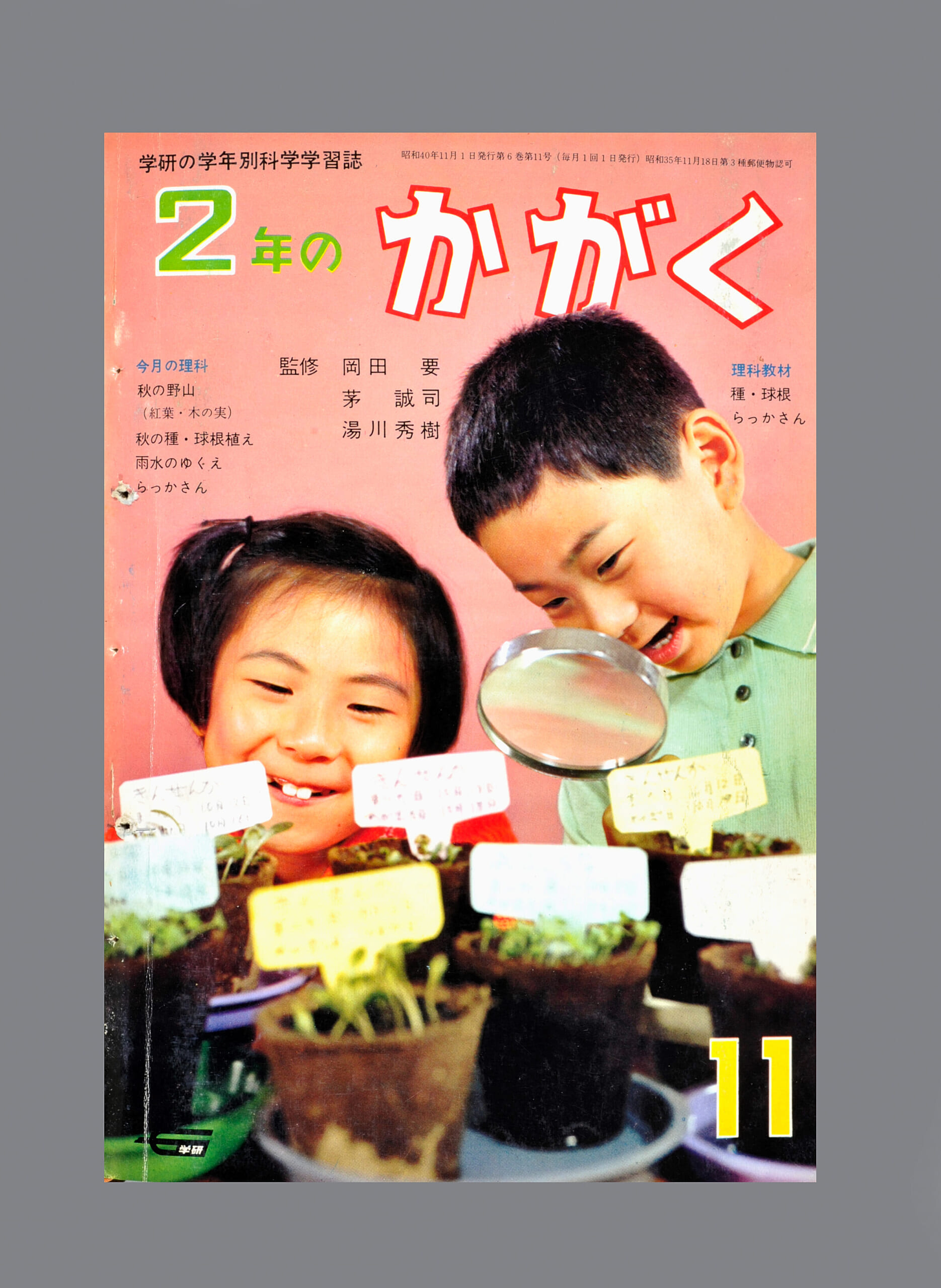 種・球根、らっかさん