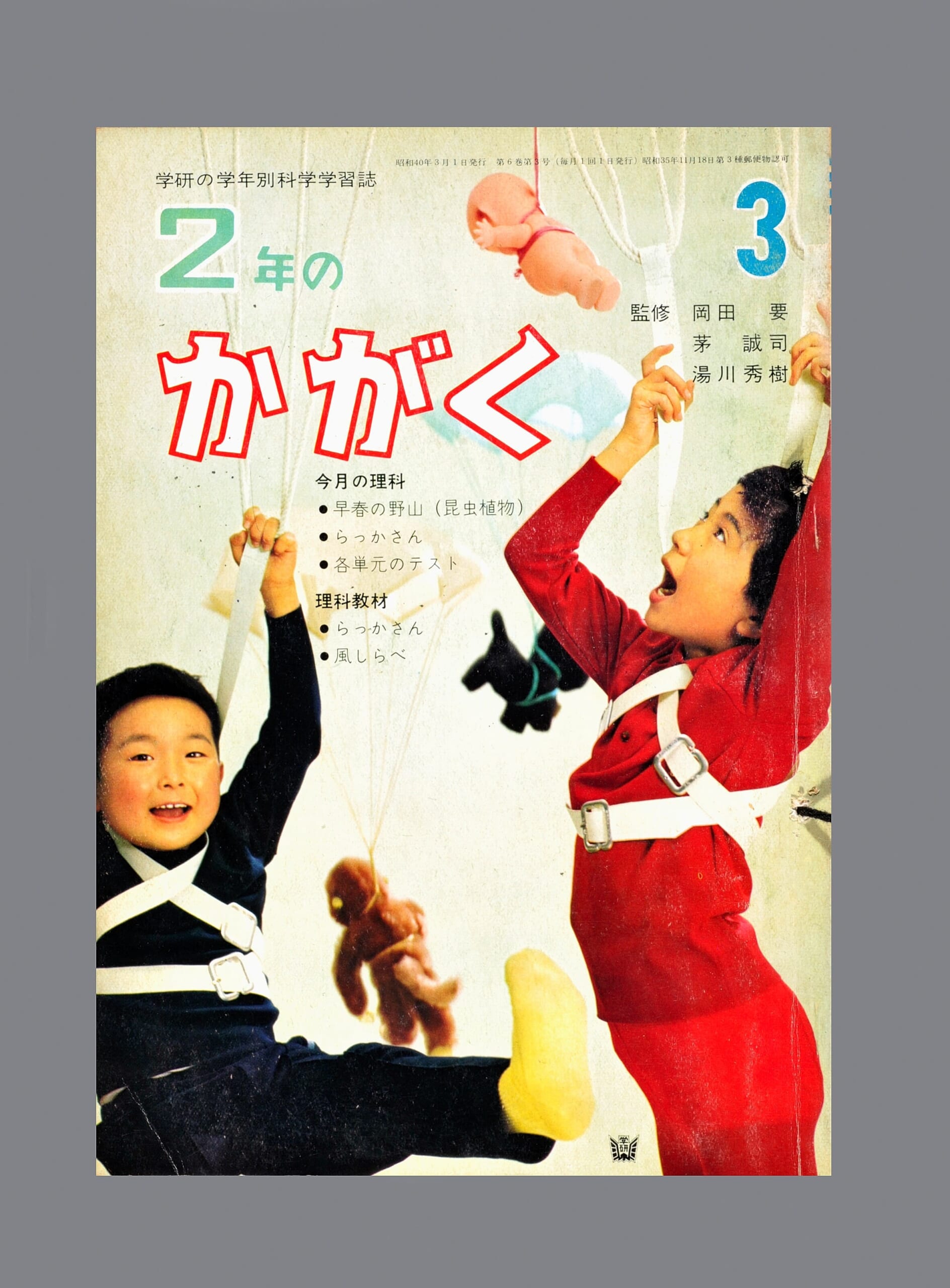 ふろく名前がわかりません