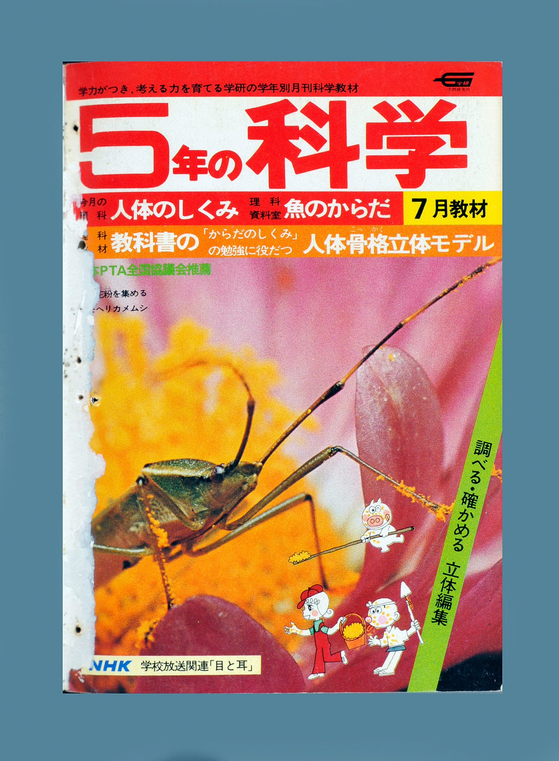 ふろく画像