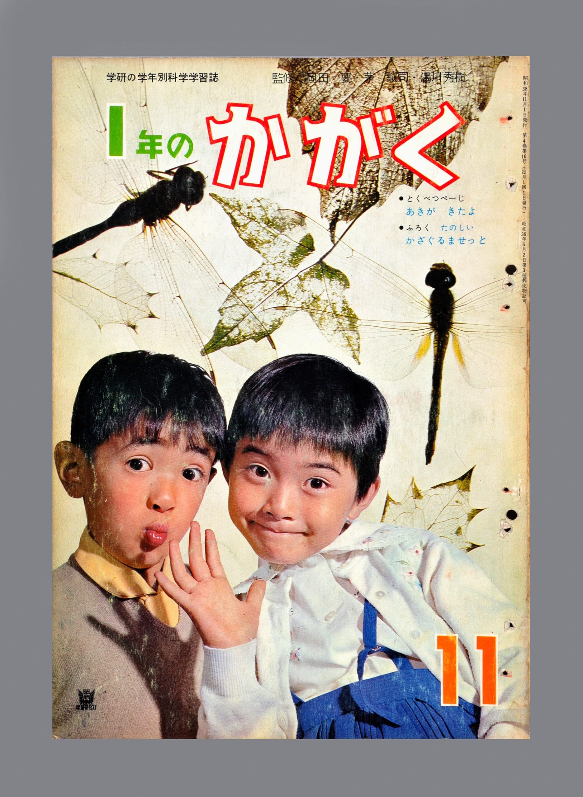 たのしいかざぐるませっと