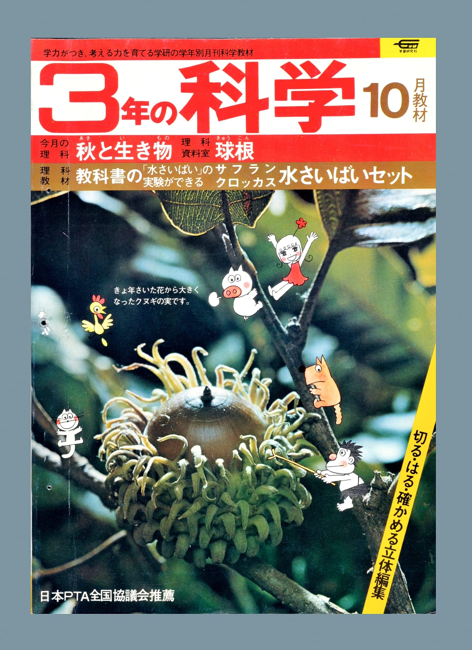 ふろく画像