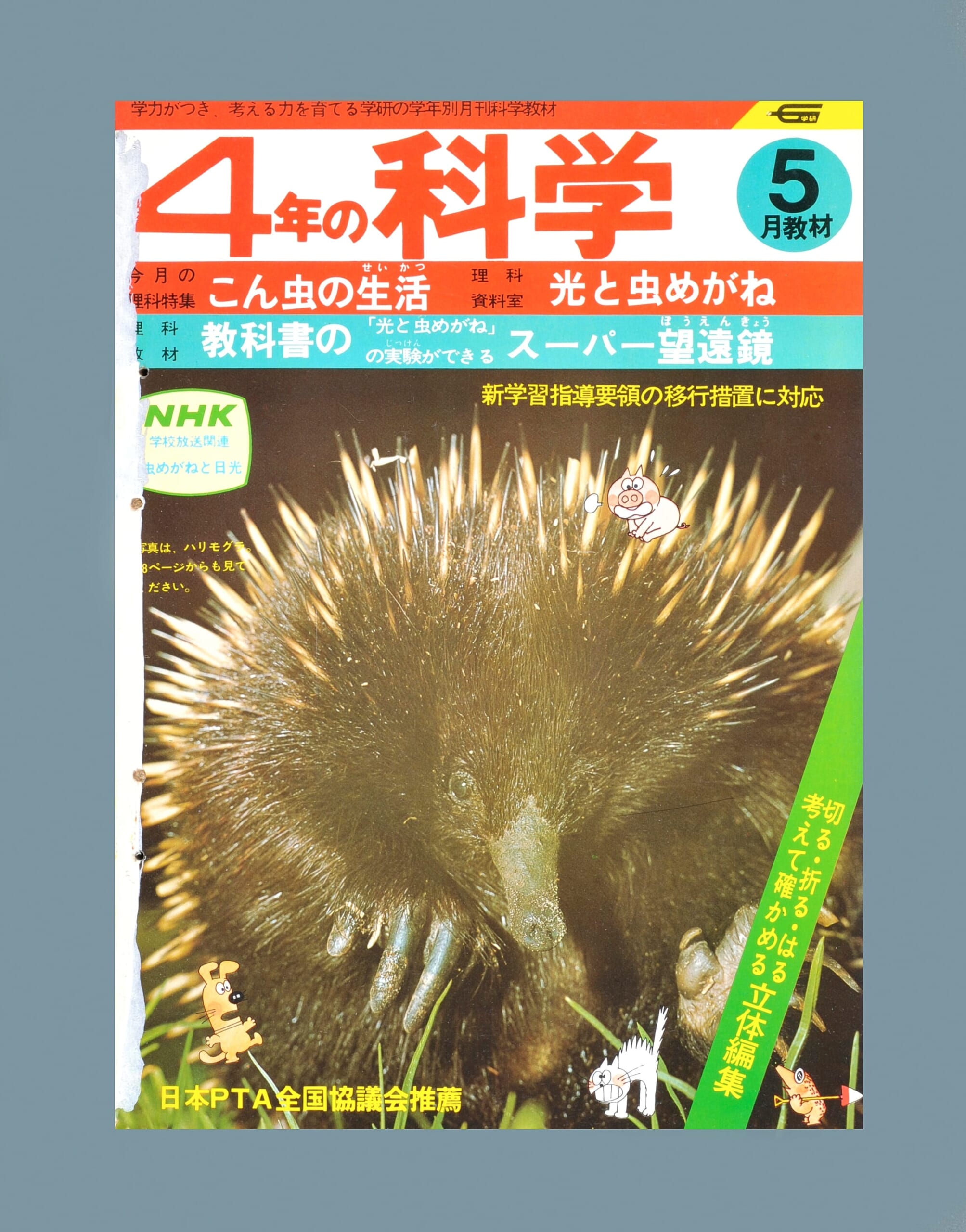 ふろく画像