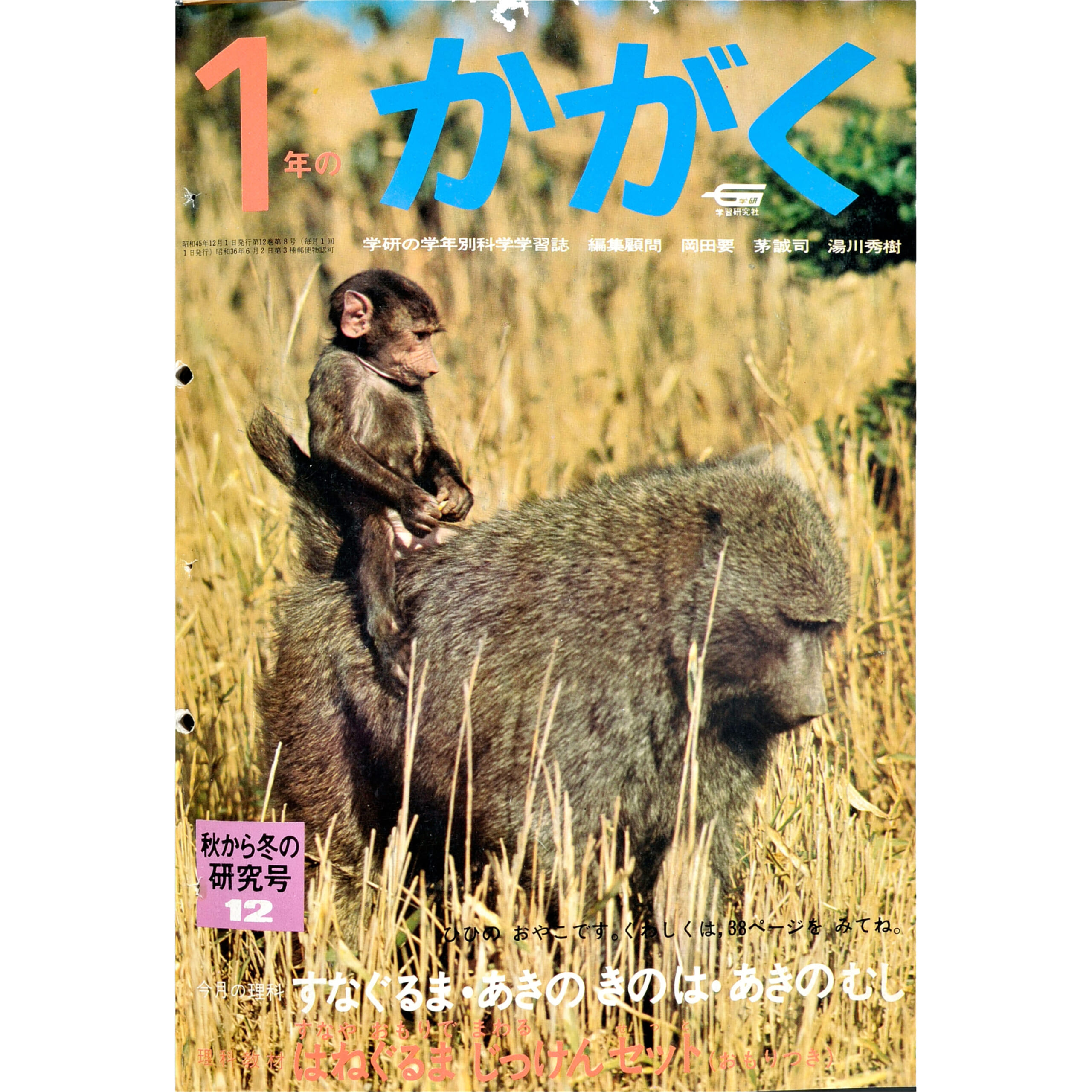 ふろく画像