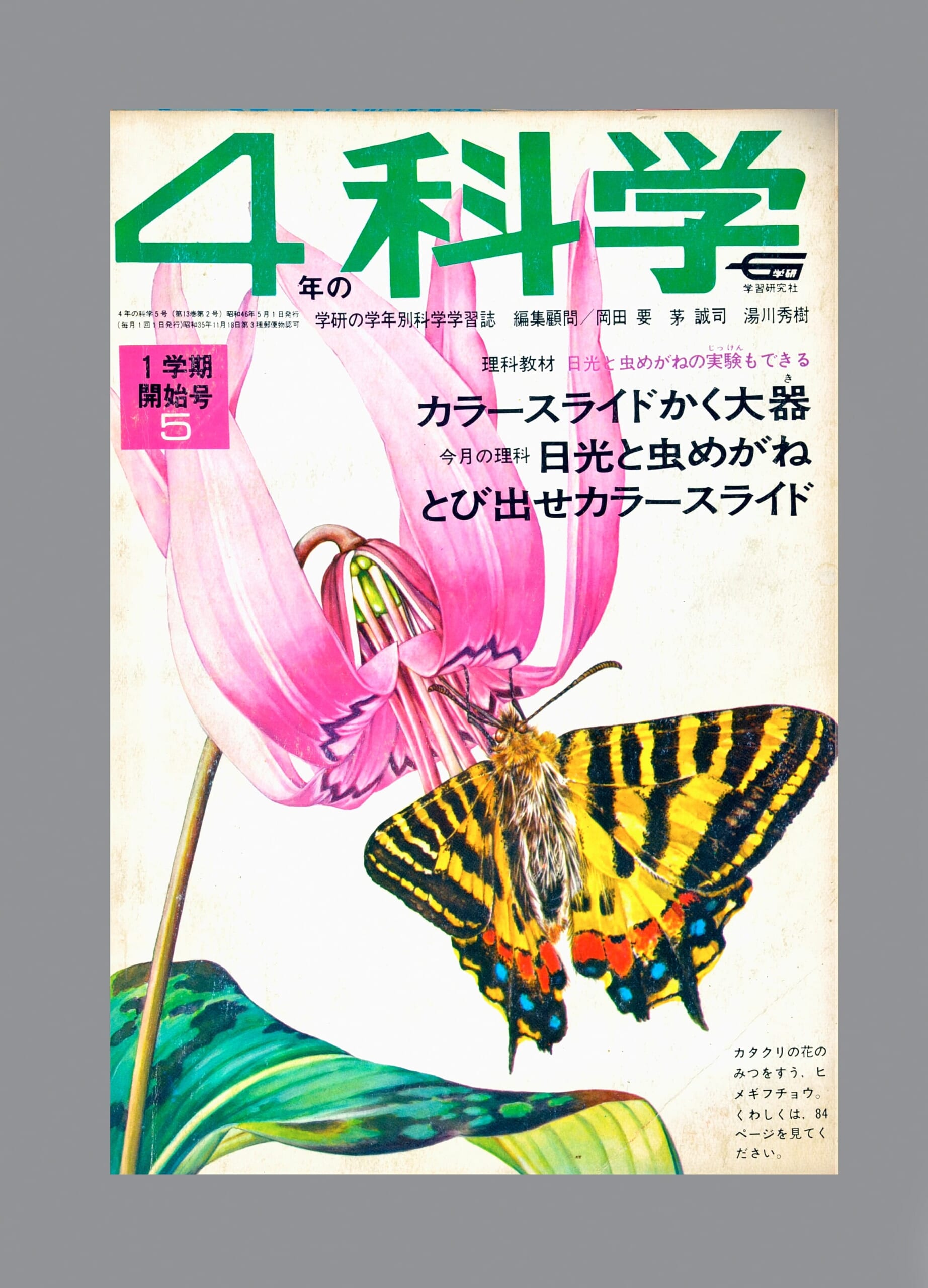 ふろく画像