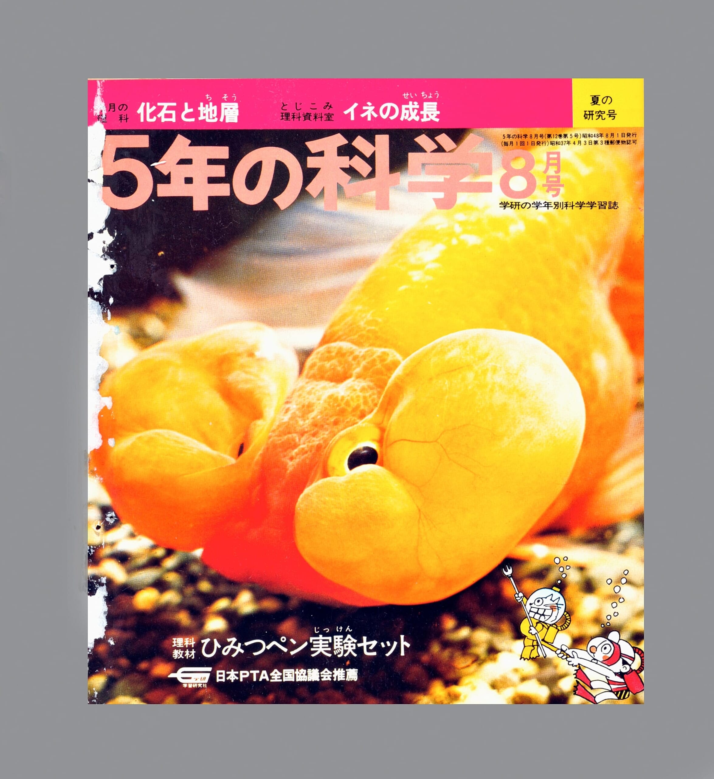 ふろく画像