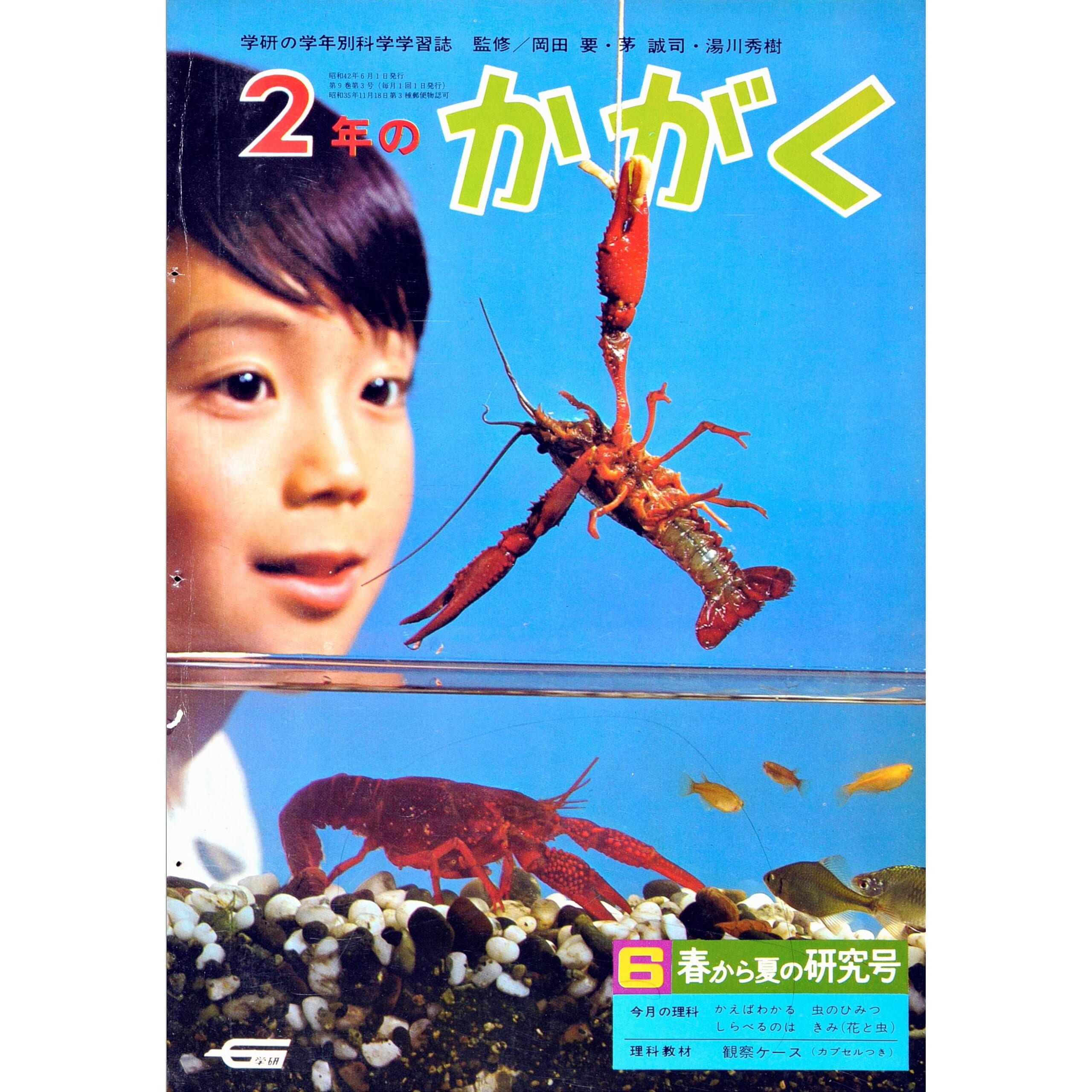 ふろく画像